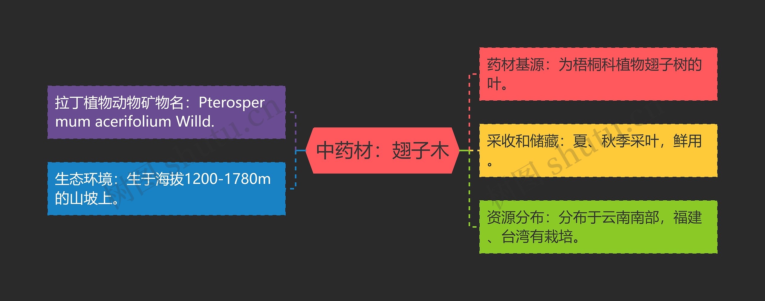 中药材：翅子木思维导图