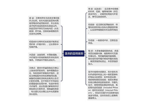 茎类的显微鉴别