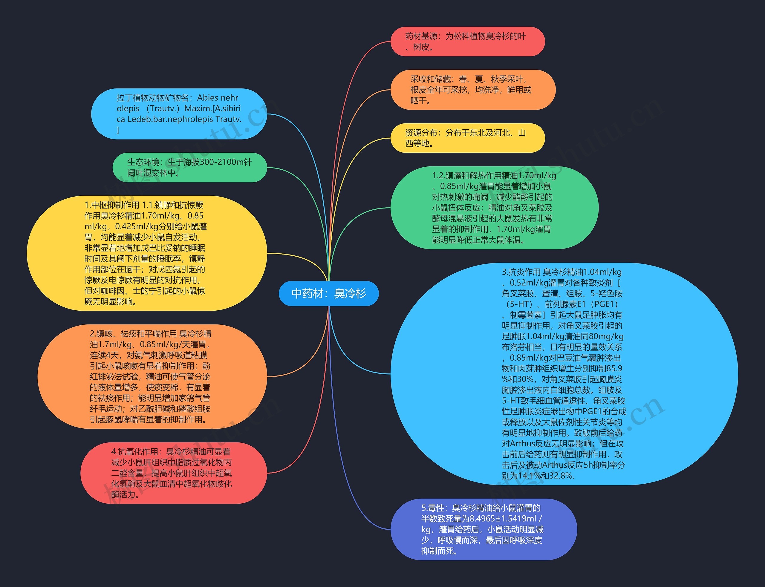 中药材：臭冷杉思维导图