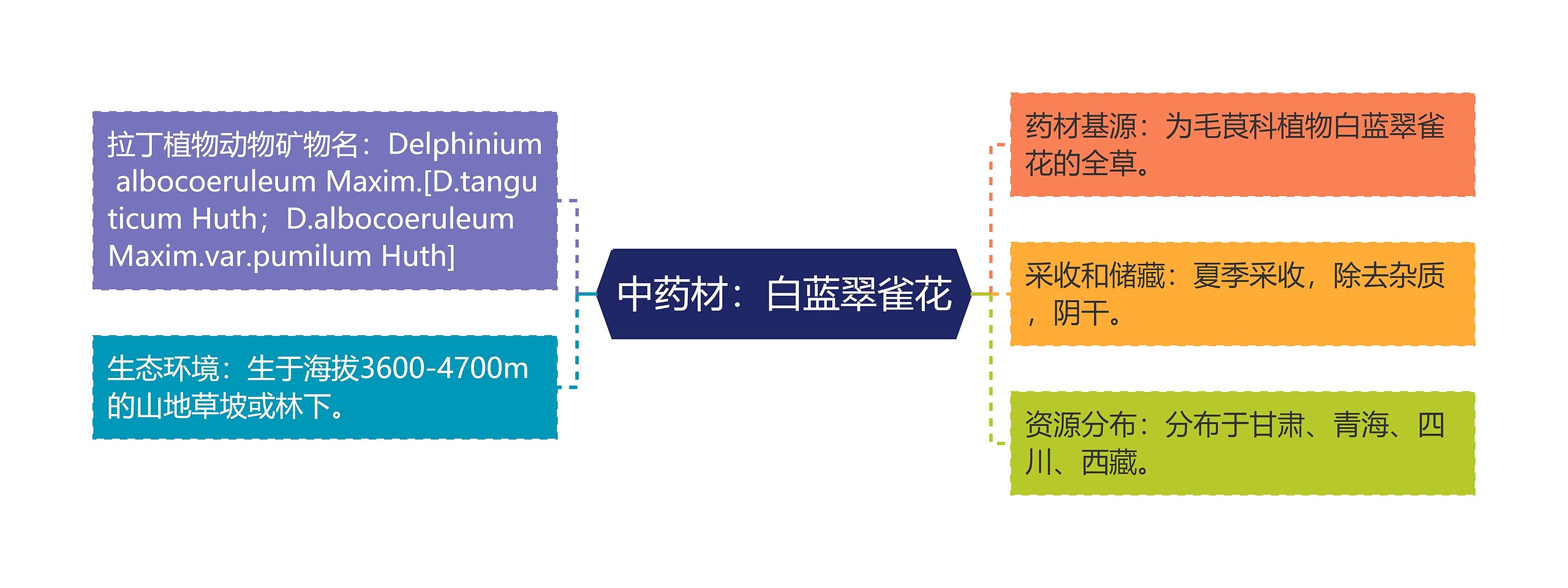 中药材：白蓝翠雀花思维导图