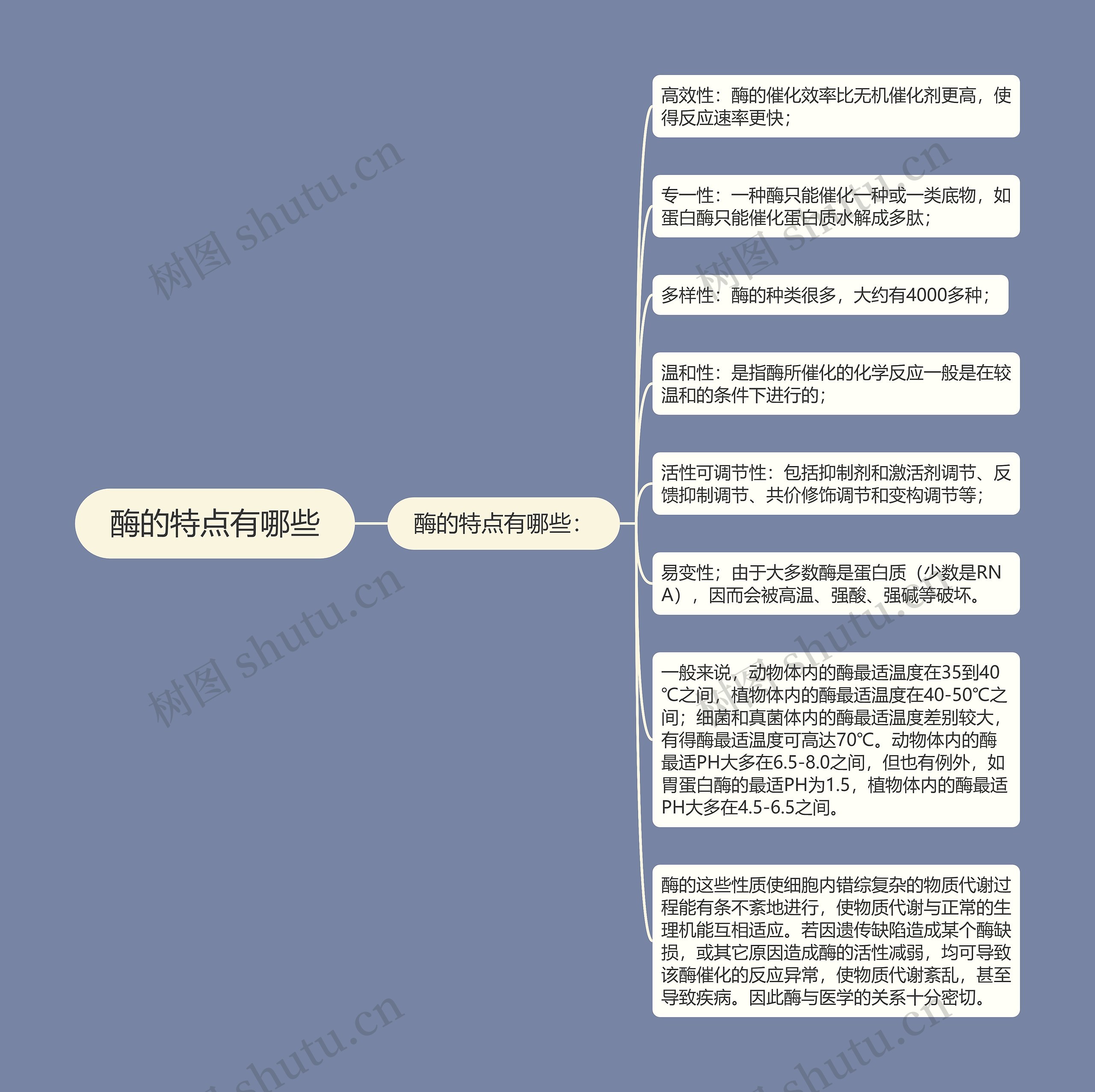 酶的特点有哪些 酶的特点有哪些