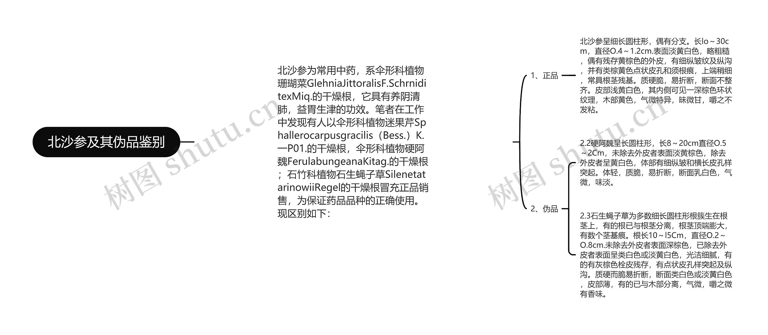 北沙参及其伪品鉴别思维导图