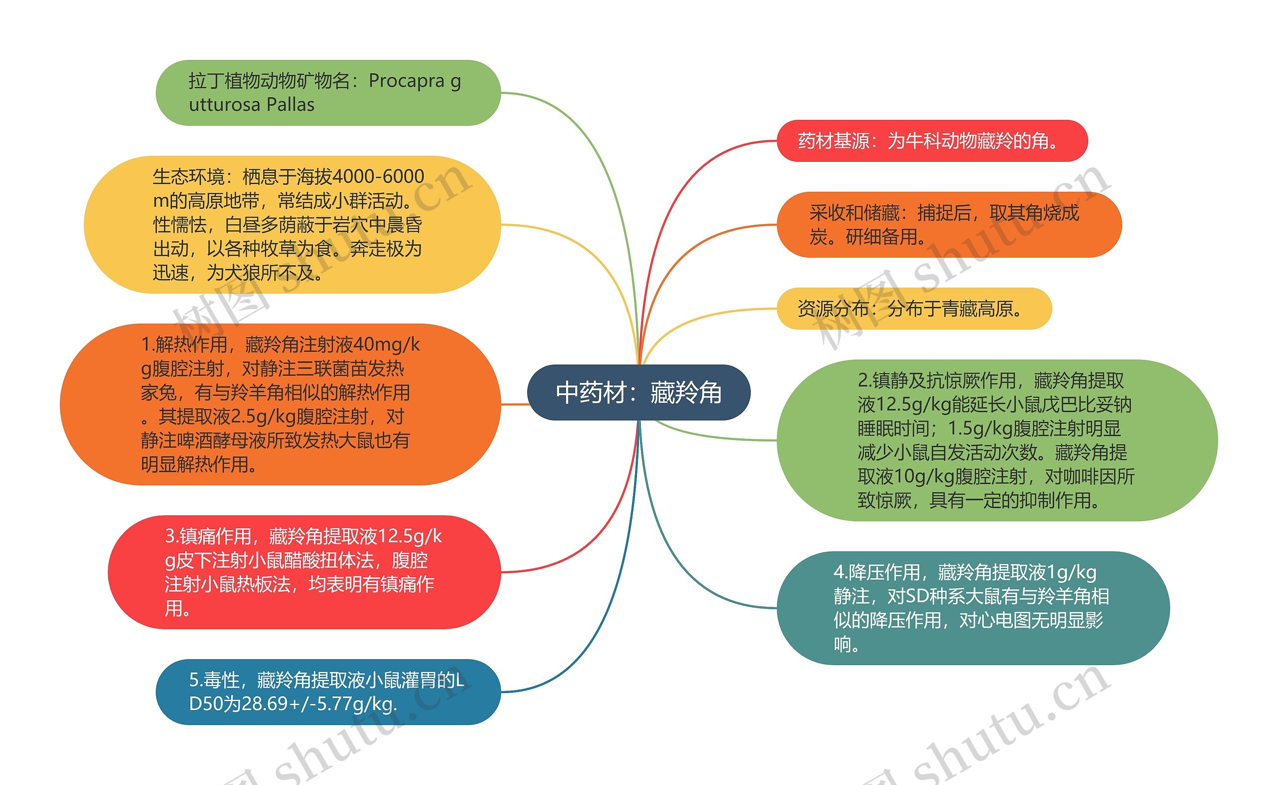 中药材：藏羚角思维导图