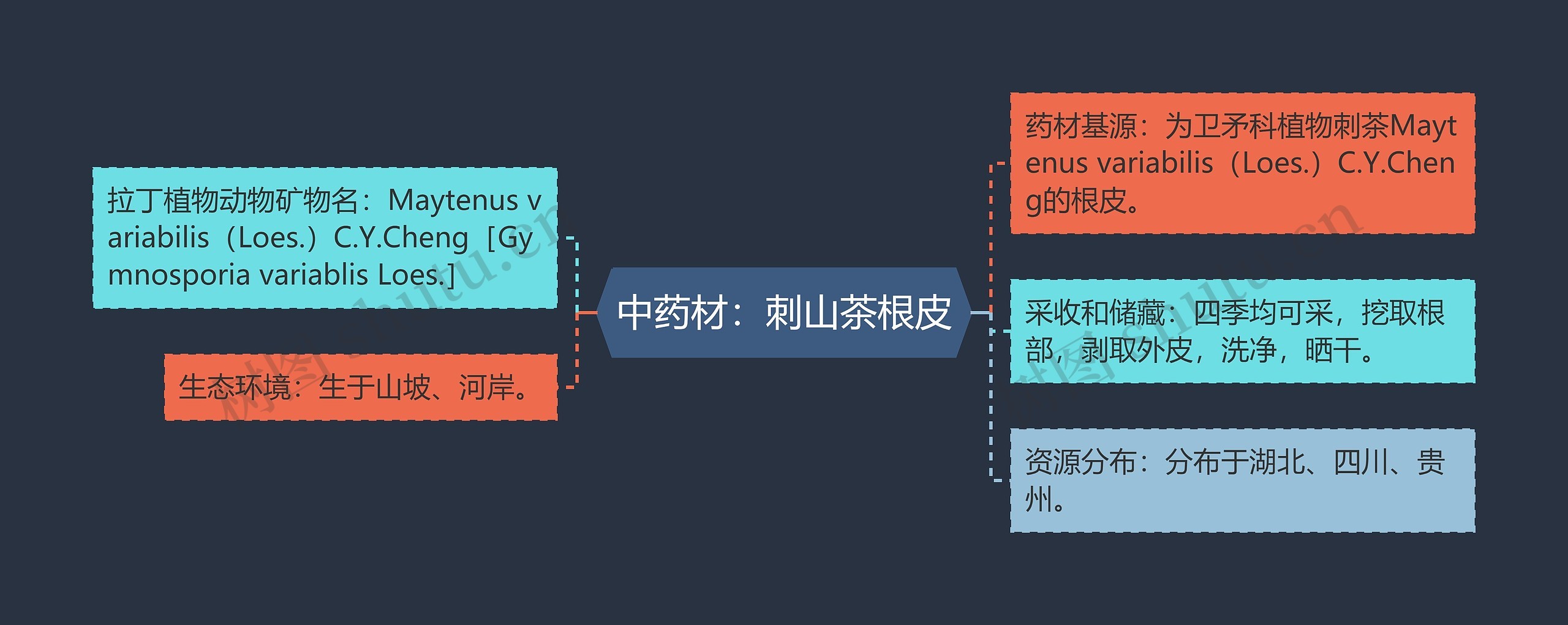 中药材：刺山茶根皮思维导图