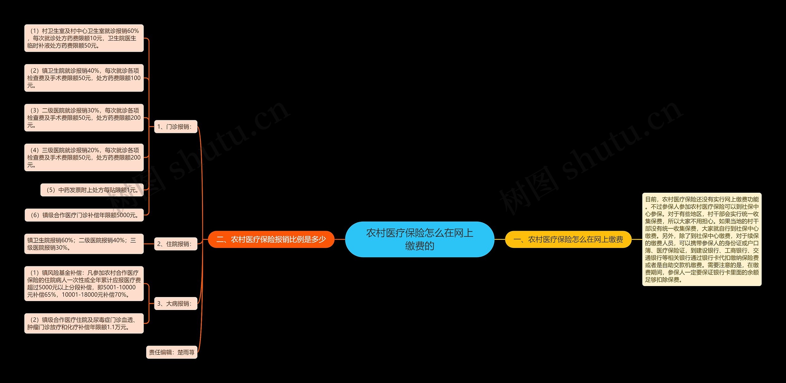 农村医疗保险怎么在网上缴费的思维导图