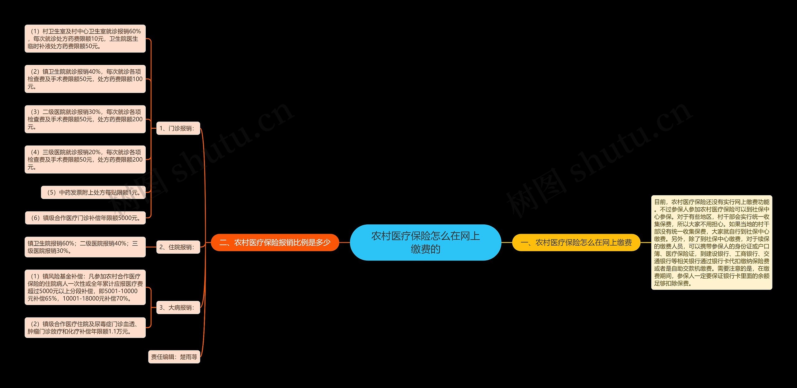 农村医疗保险怎么在网上缴费的 农村医疗保险怎么在网上缴费的