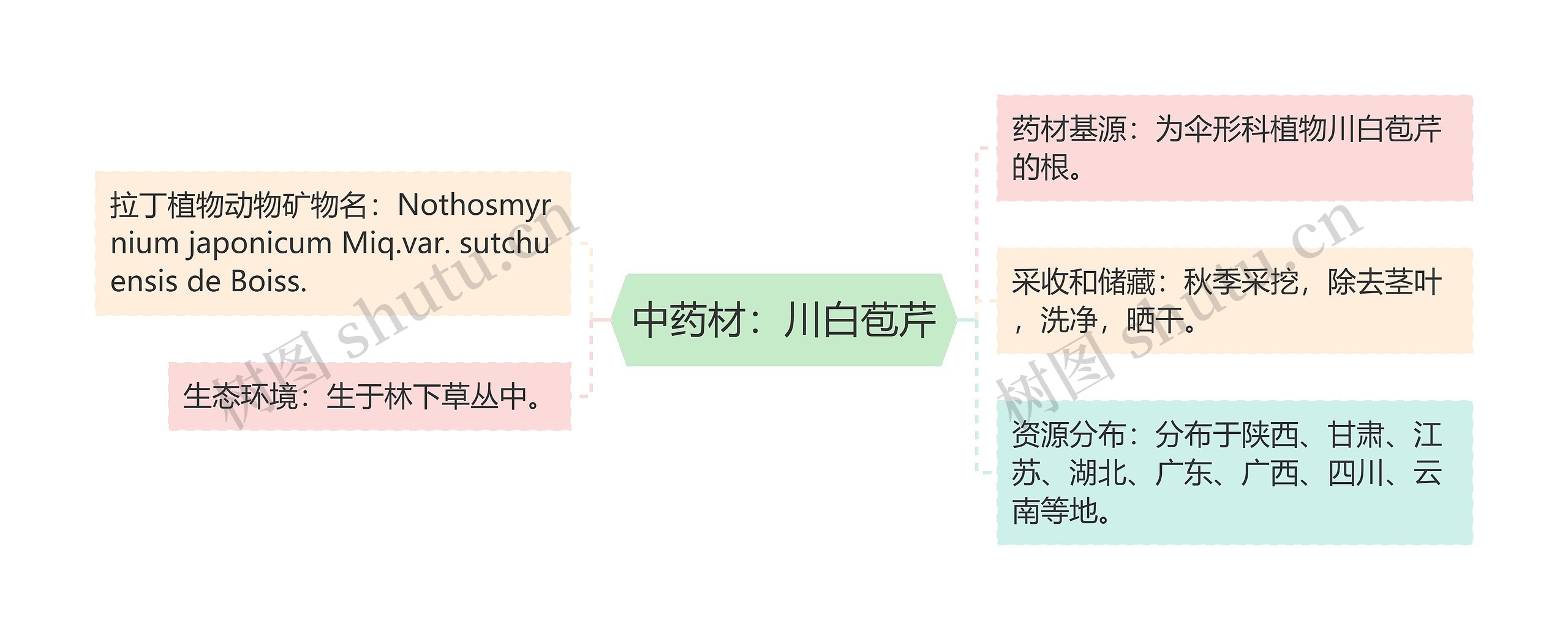 中药材：川白苞芹