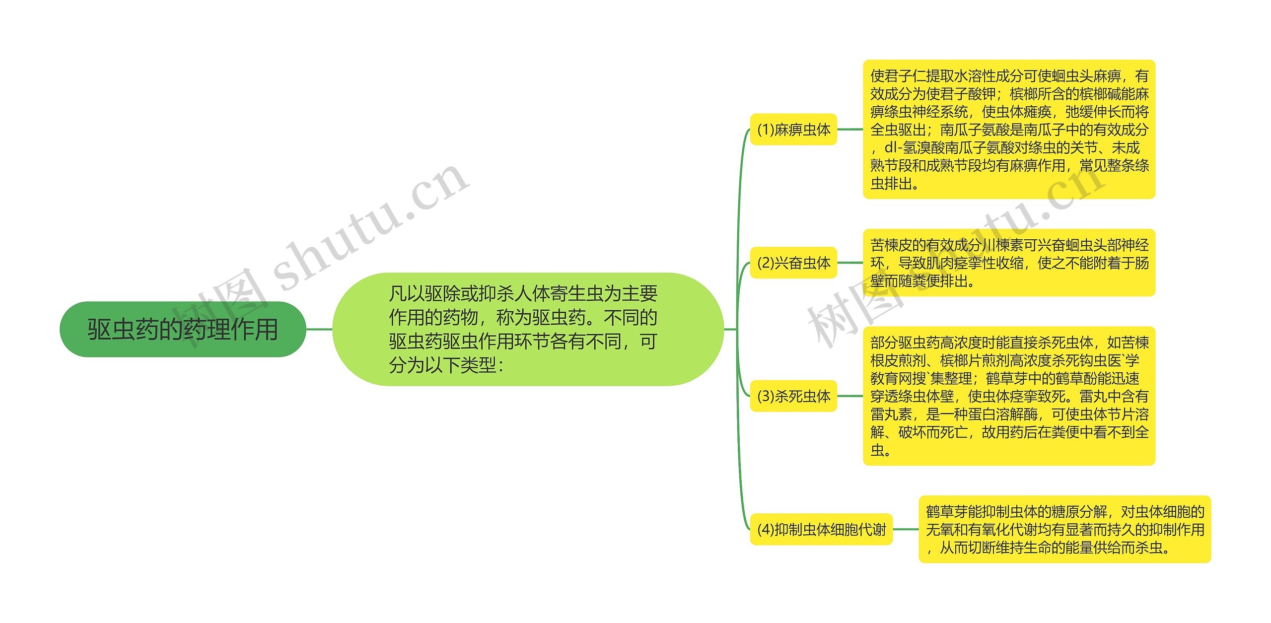 驱虫药的药理作用思维导图