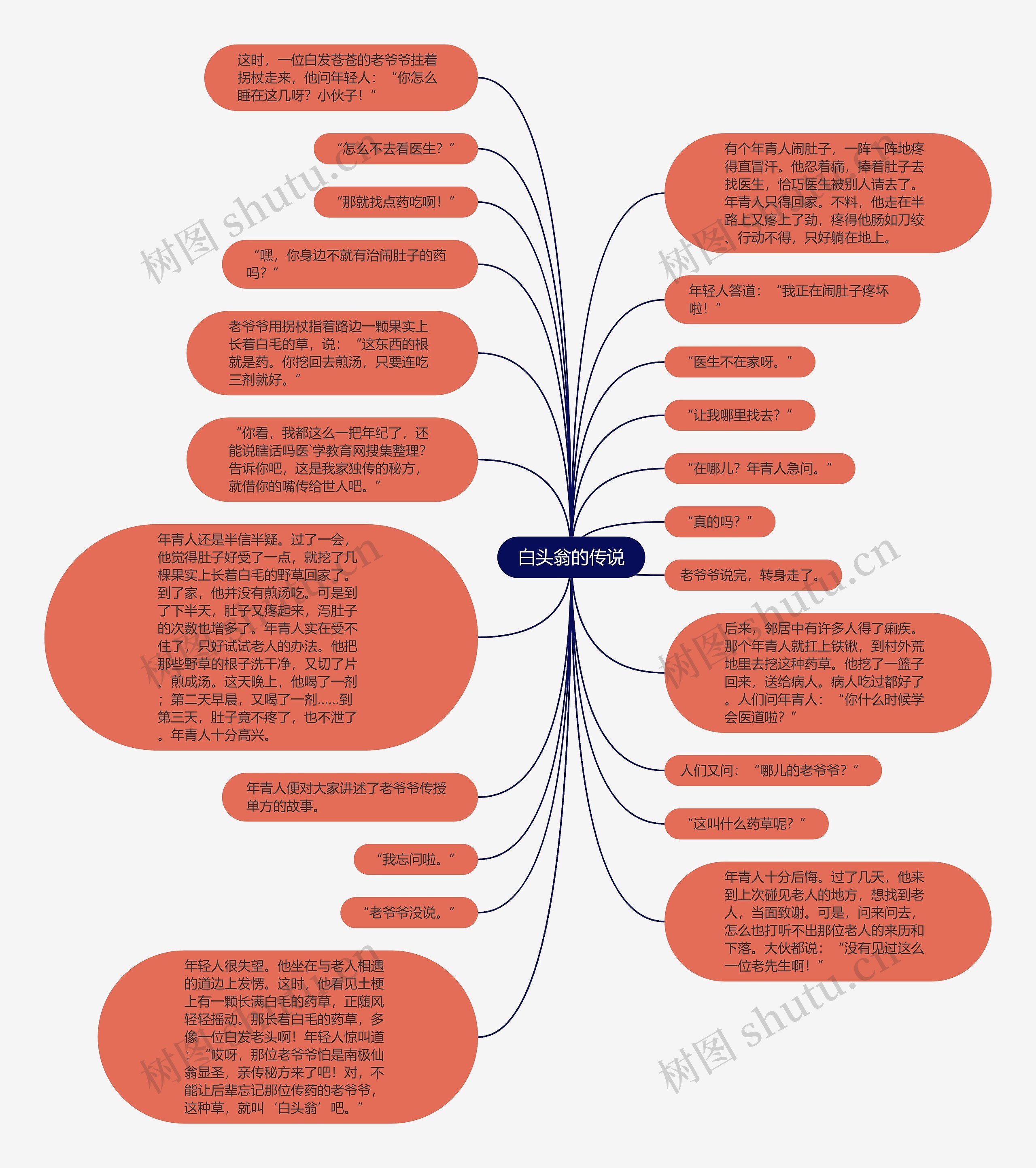 白头翁的传说思维导图