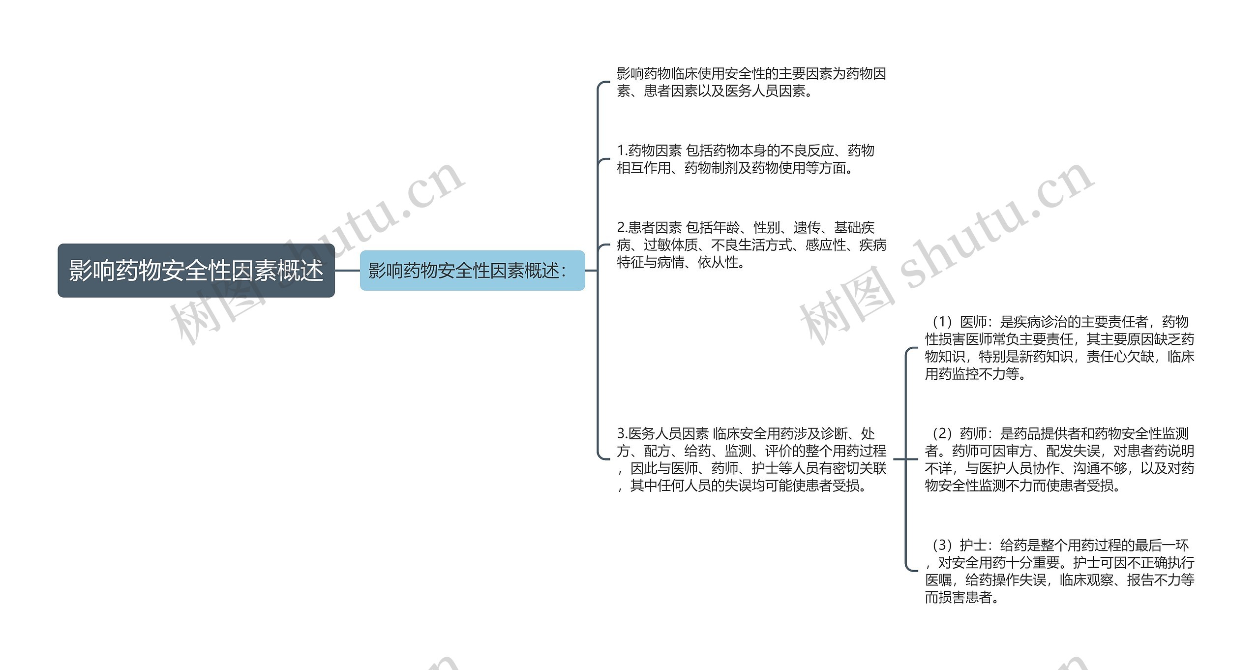 影响药物安全性因素概述思维导图