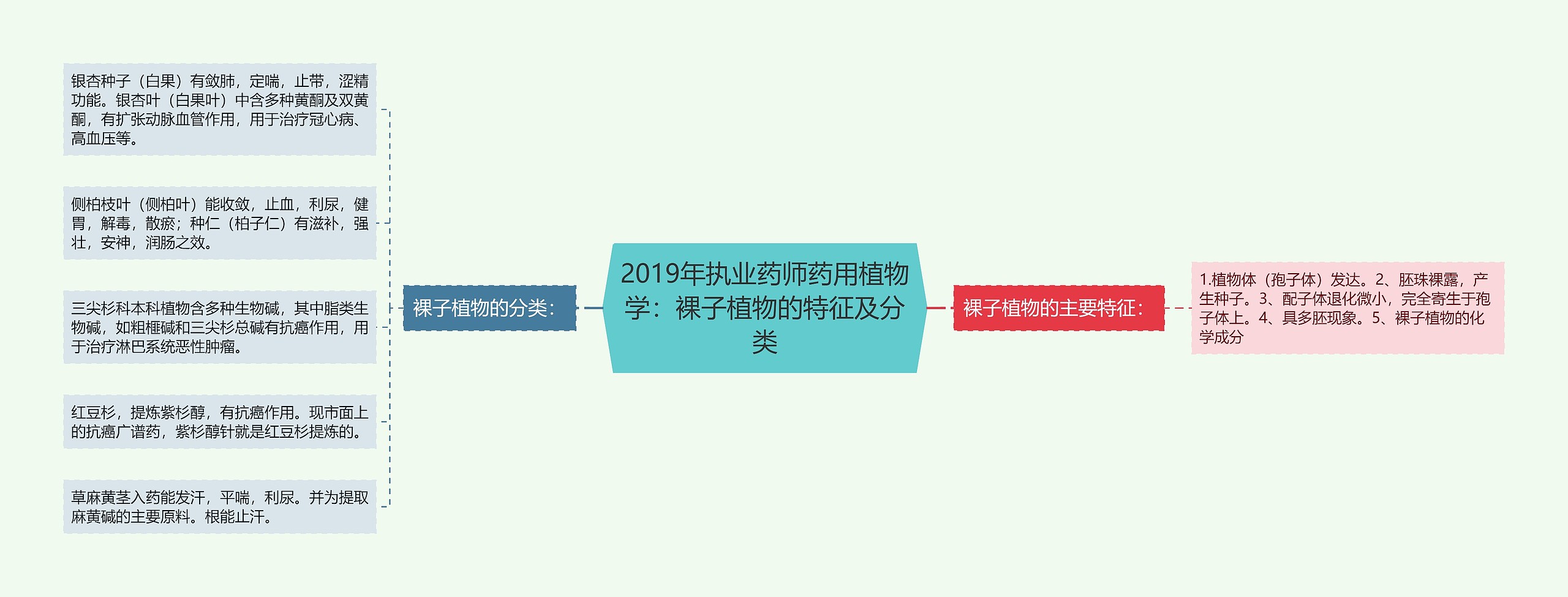 2019年执业药师药用植物学：裸子植物的特征及分类思维导图