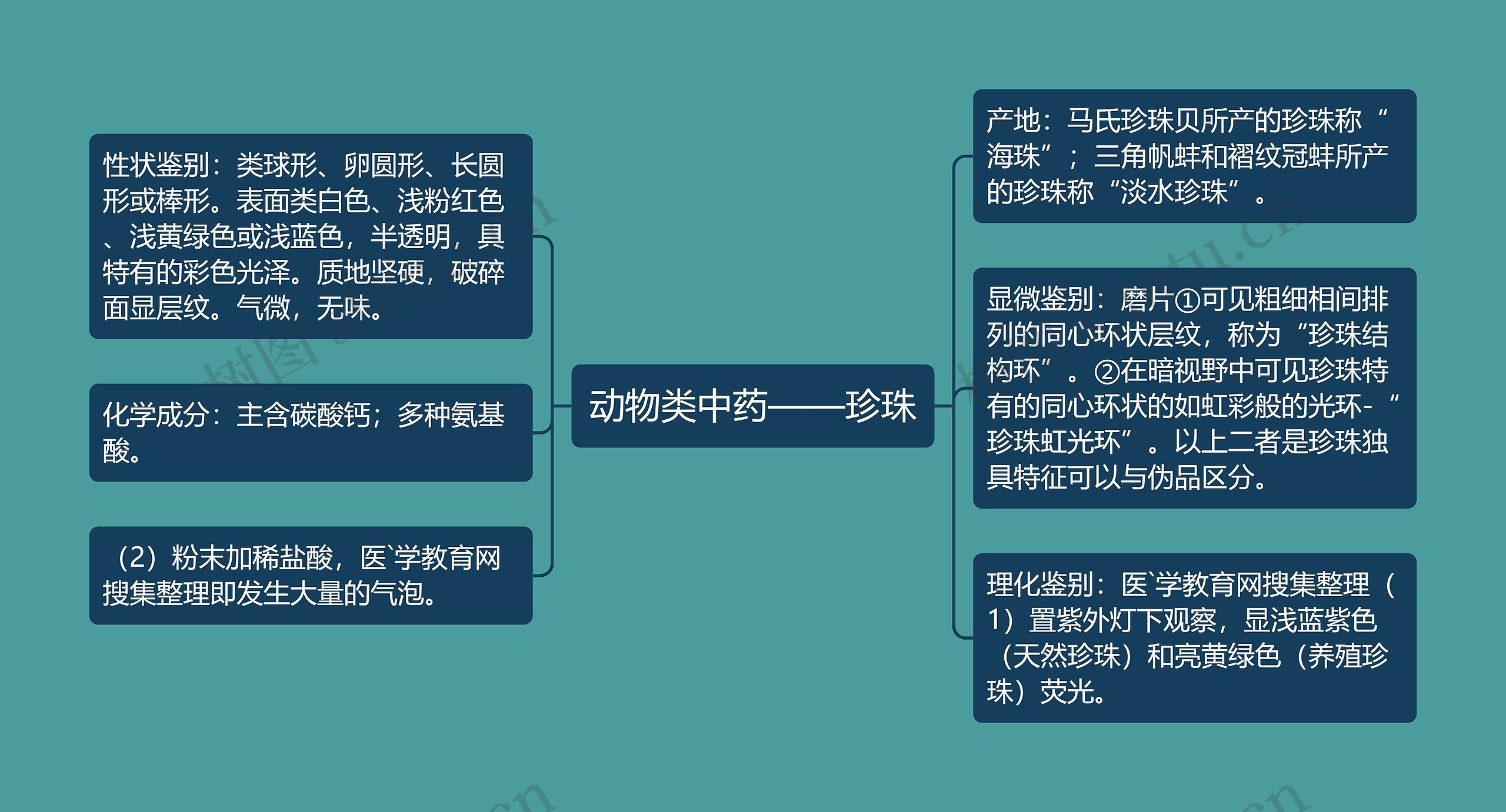 动物类中药——珍珠思维导图