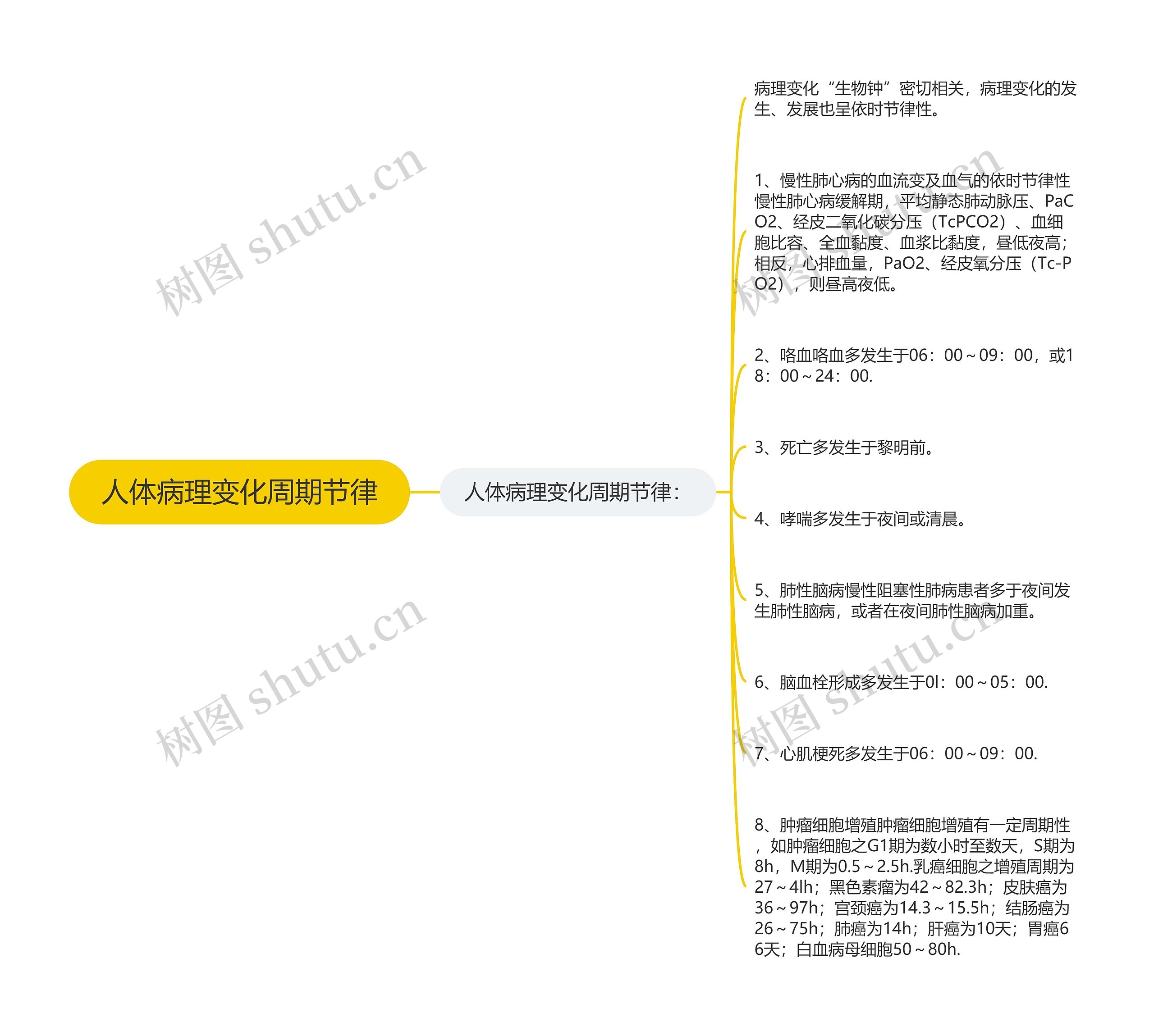 人体病理变化周期节律思维导图