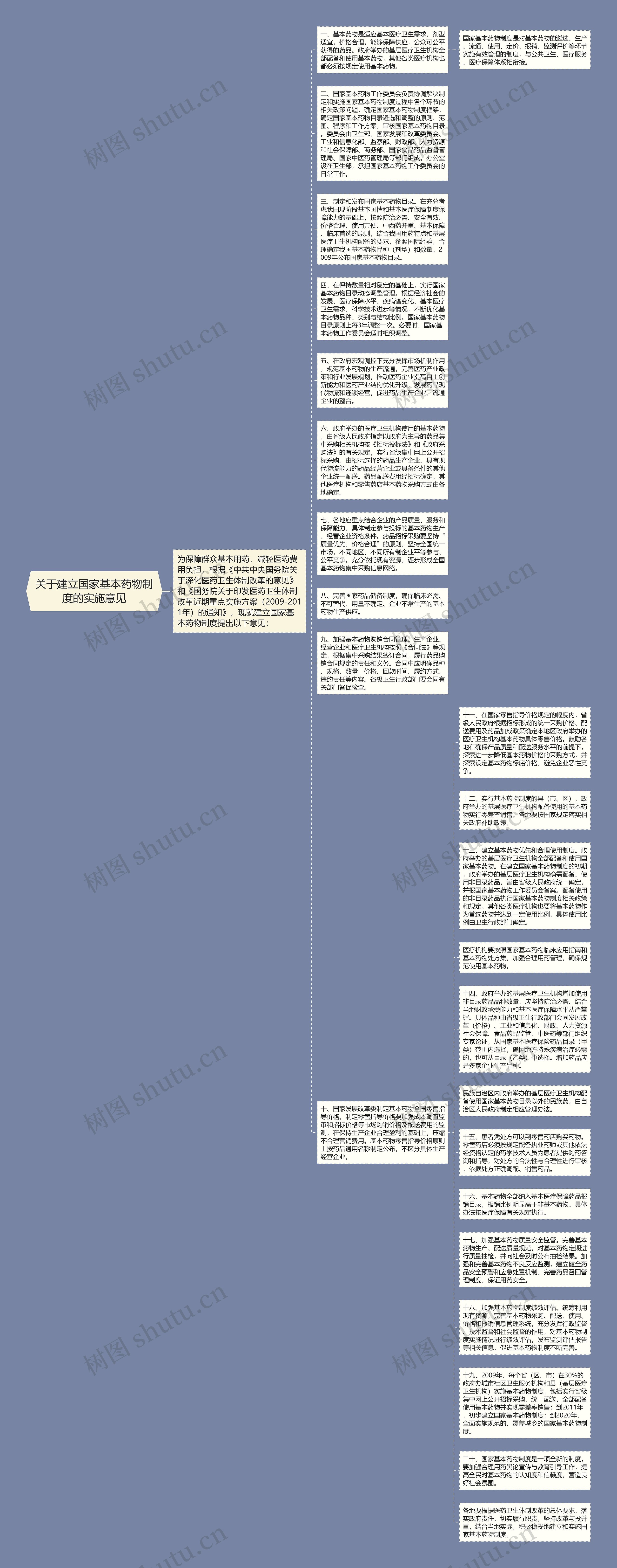 关于建立国家基本药物制度的实施意见