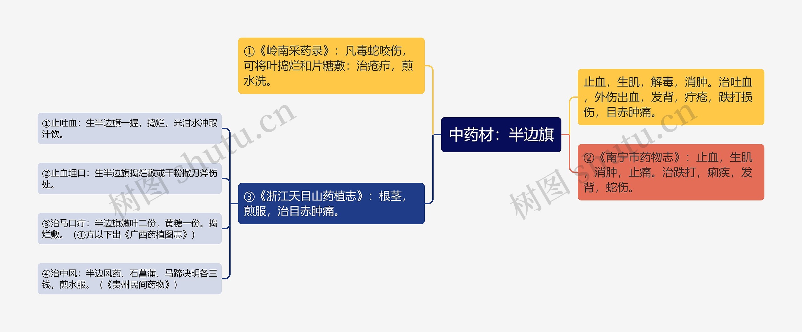 中药材：半边旗思维导图