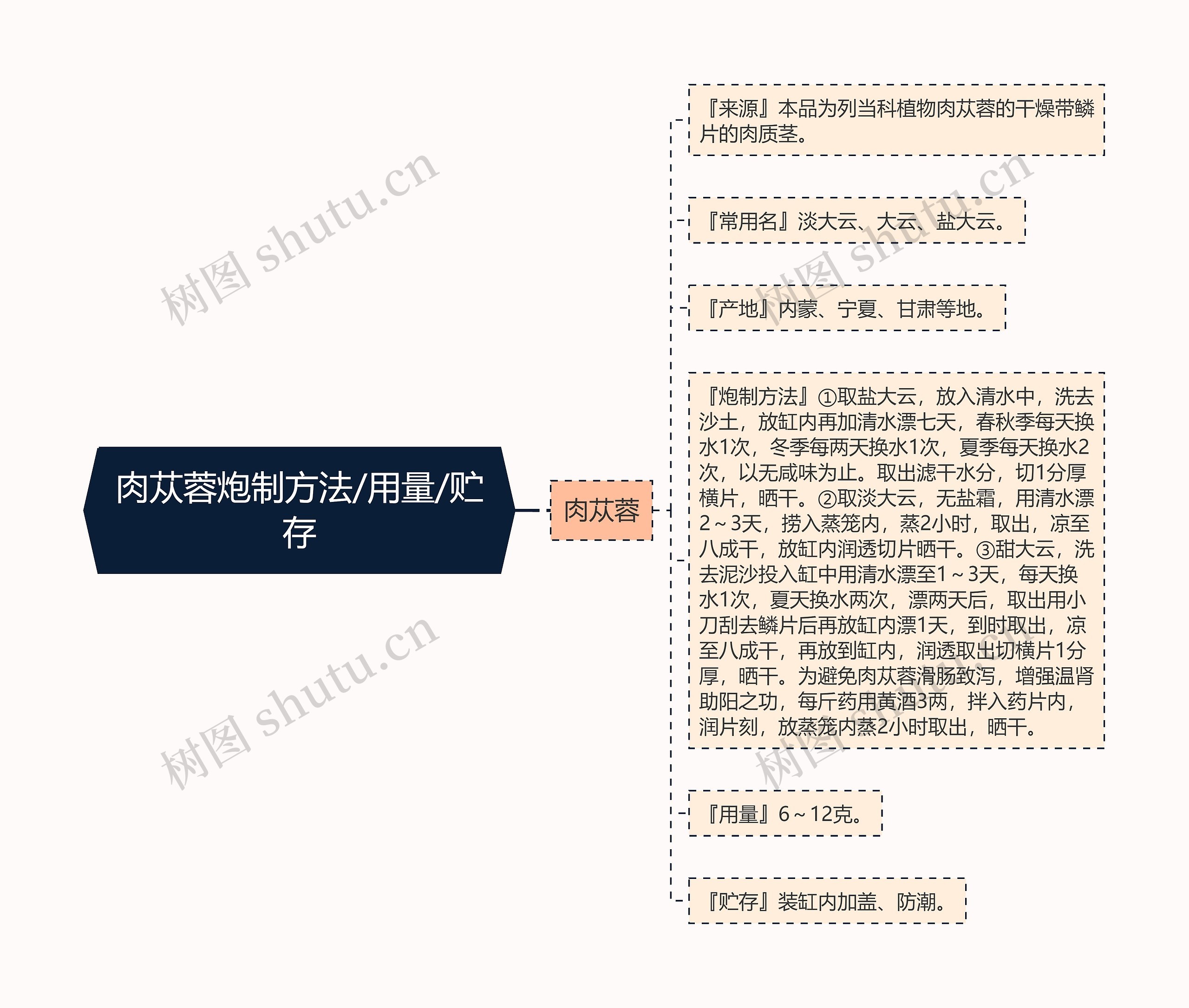 肉苁蓉炮制方法/用量/贮存思维导图