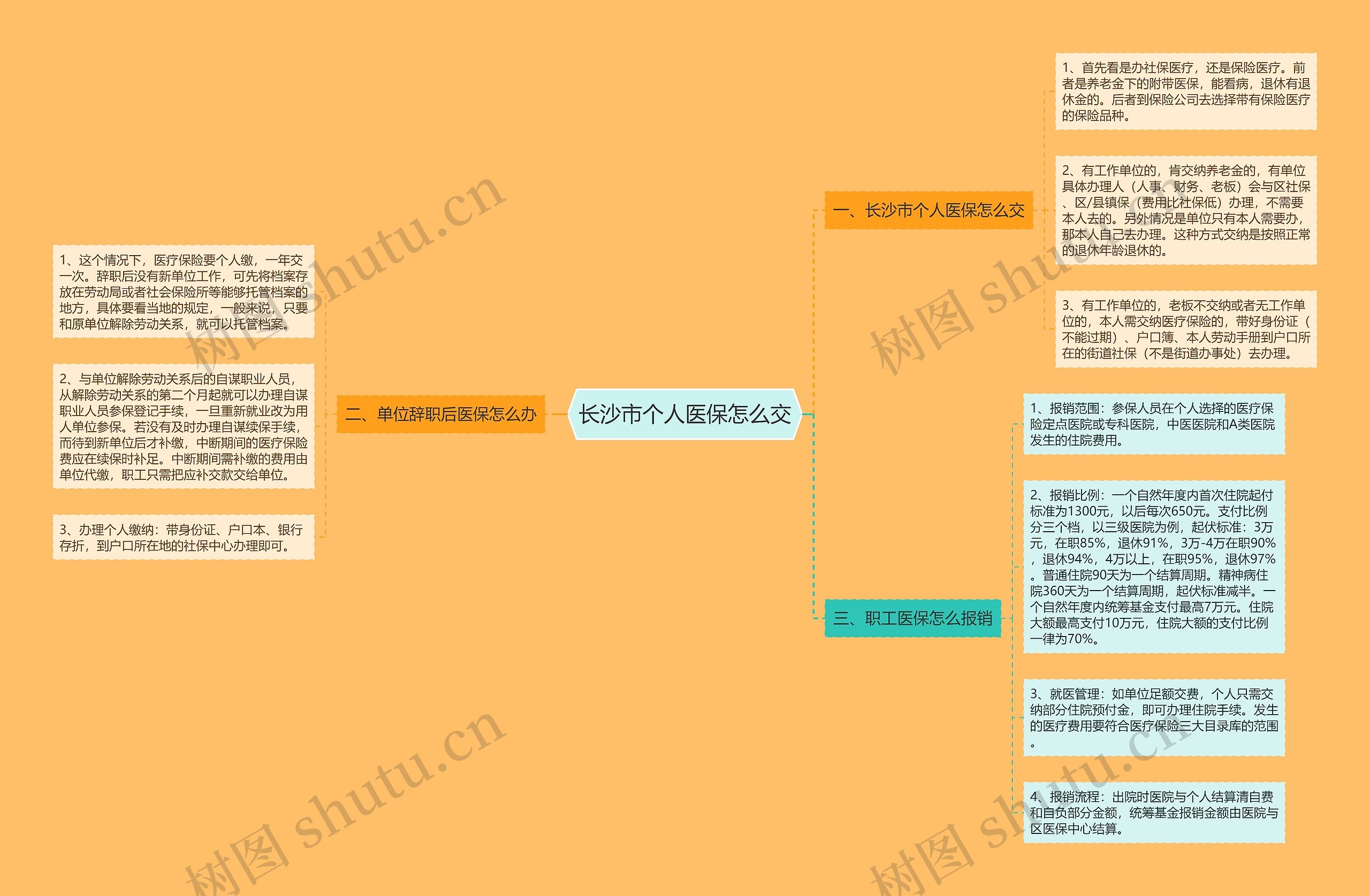 长沙市个人医保怎么交