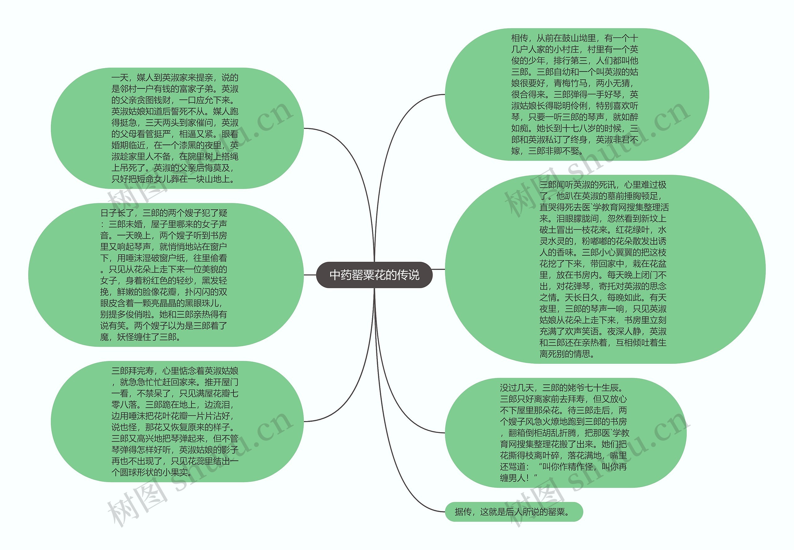 中药罂粟花的传说思维导图