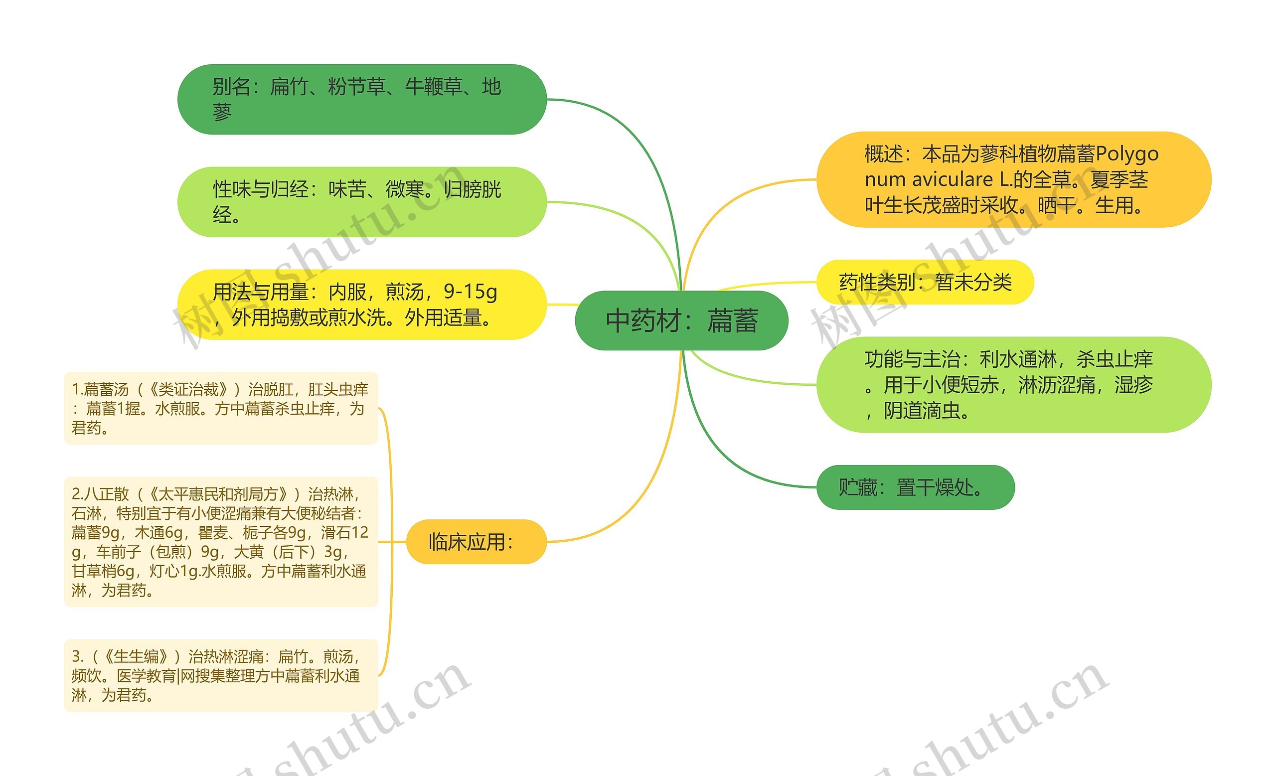 中药材：萹蓄思维导图