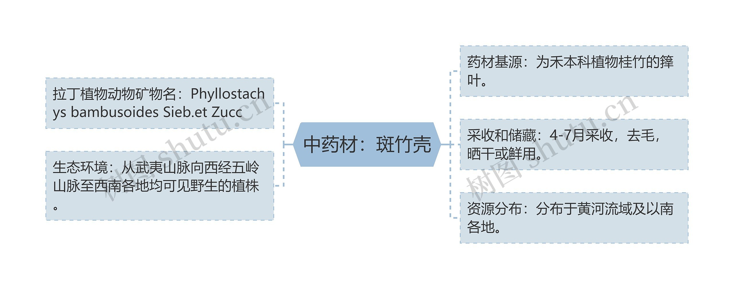 中药材：斑竹壳思维导图