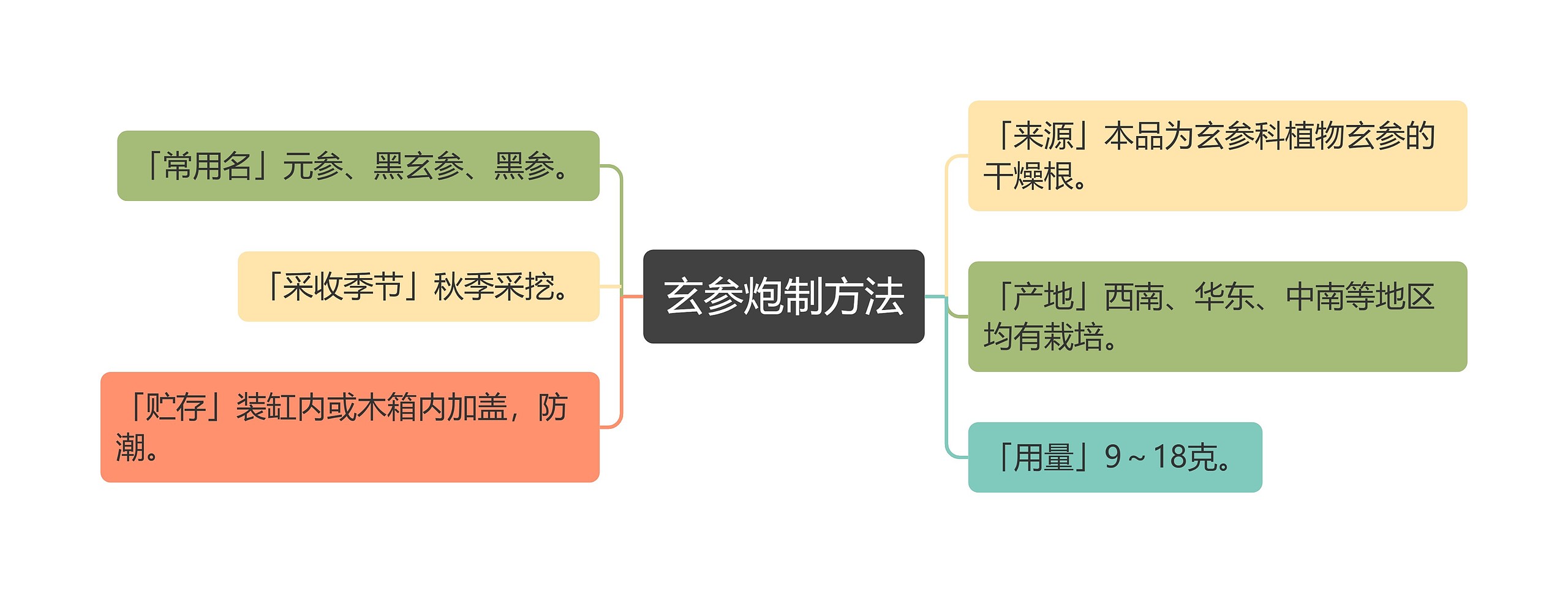 玄参炮制方法思维导图