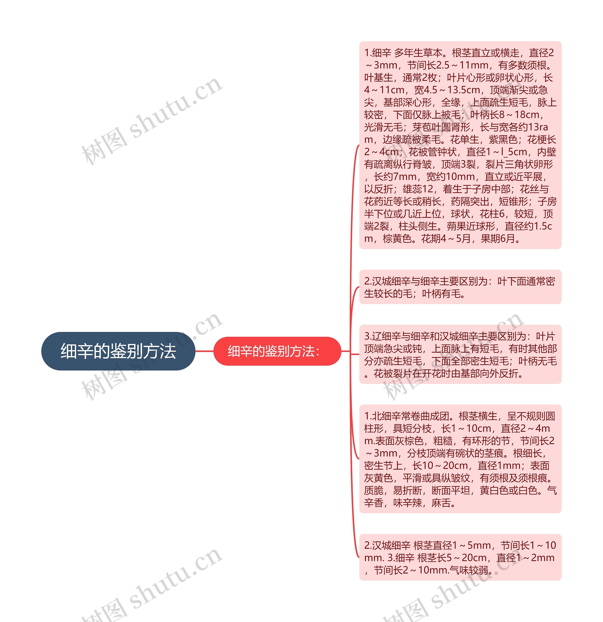 细辛的鉴别方法