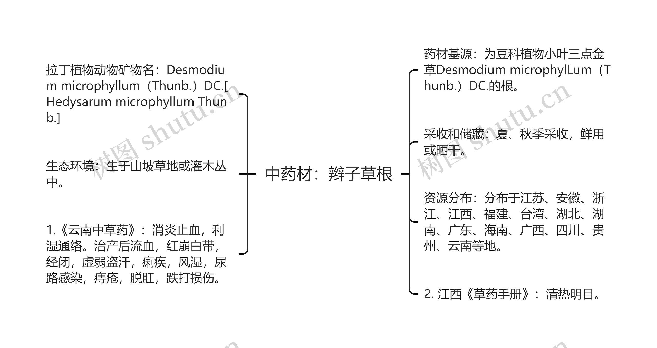 中药材：辫子草根