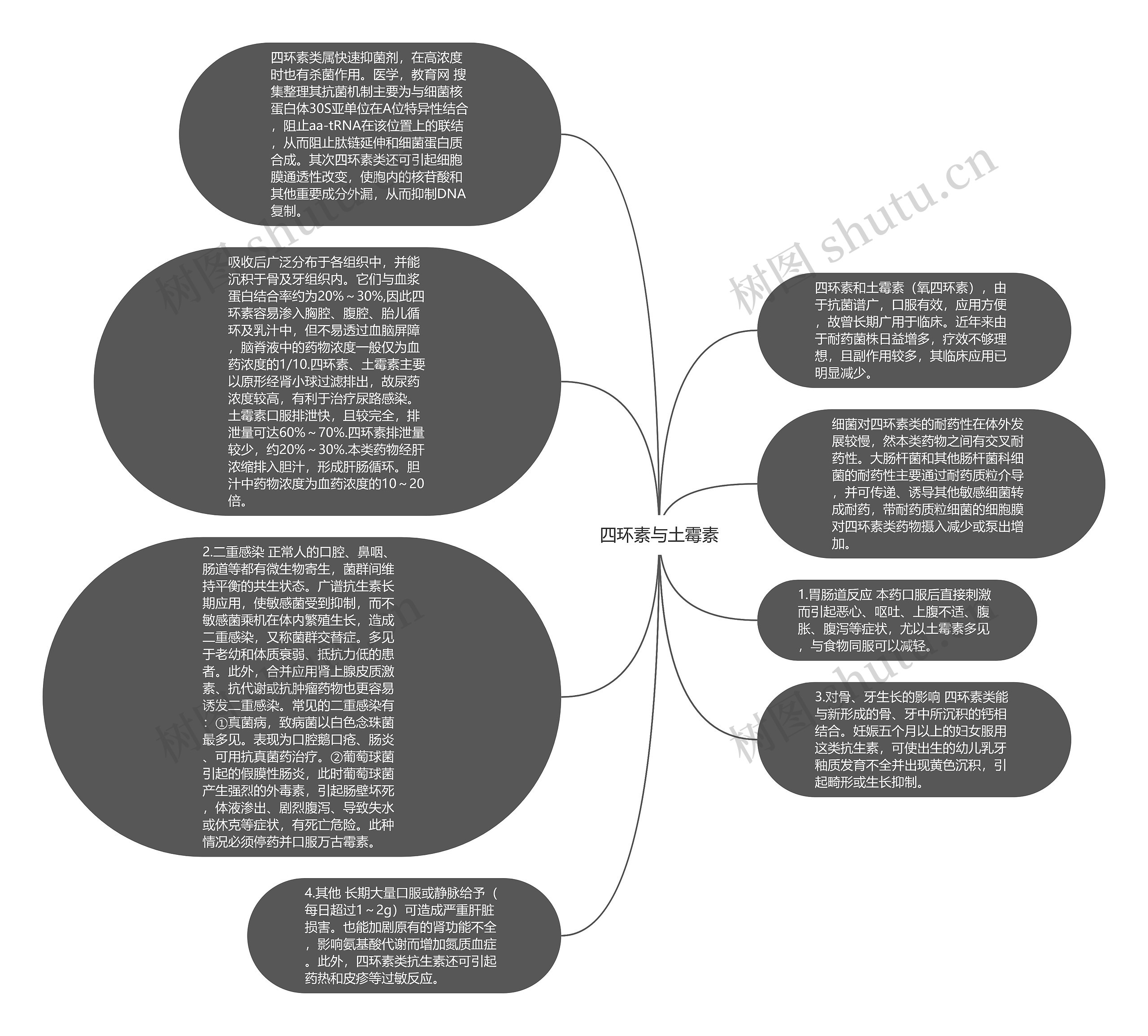 四环素与土霉素思维导图