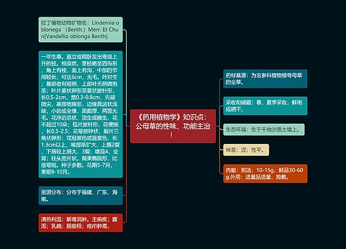 《药用植物学》知识点：公母草的性味、功能主治！