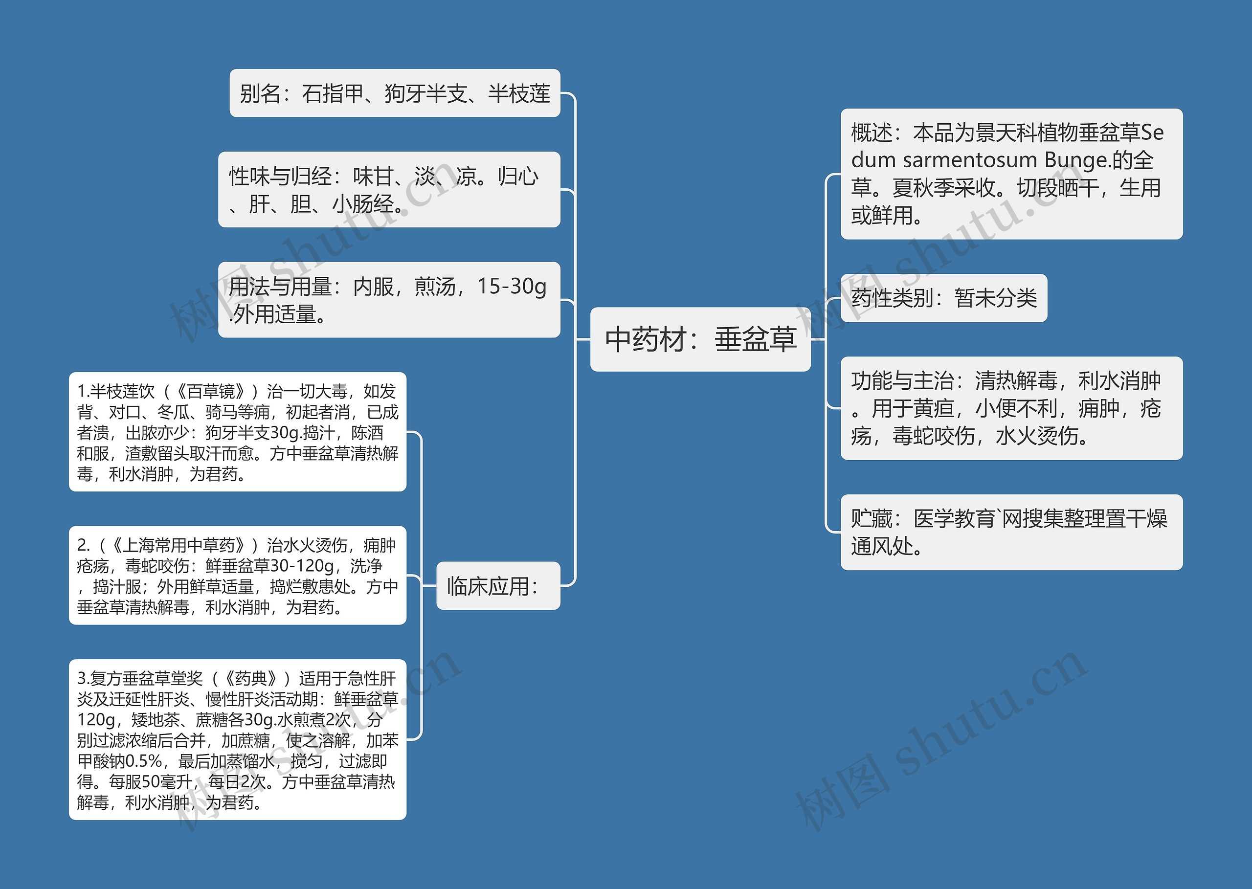 中药材：垂盆草思维导图