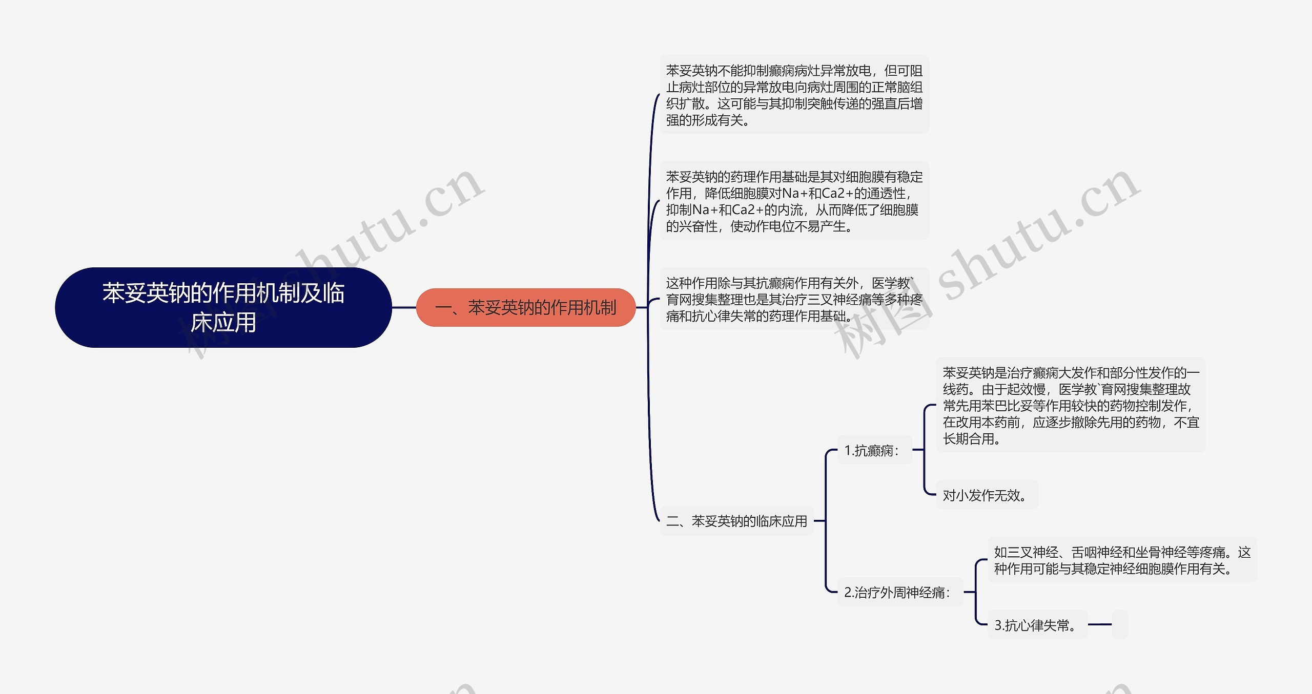 苯妥英钠的作用机制及临床应用