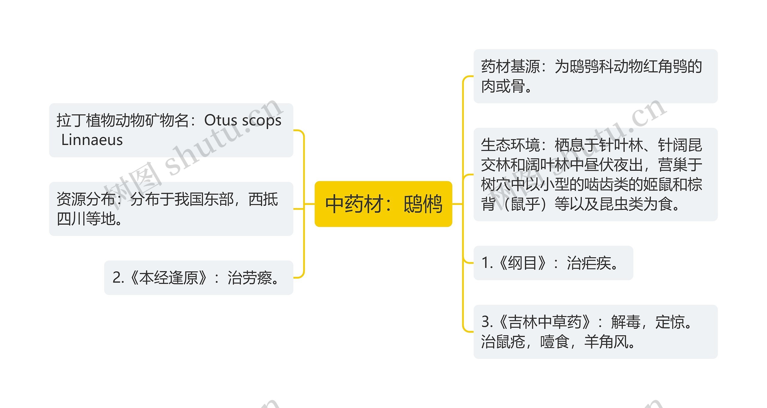 中药材：鸱鸺思维导图