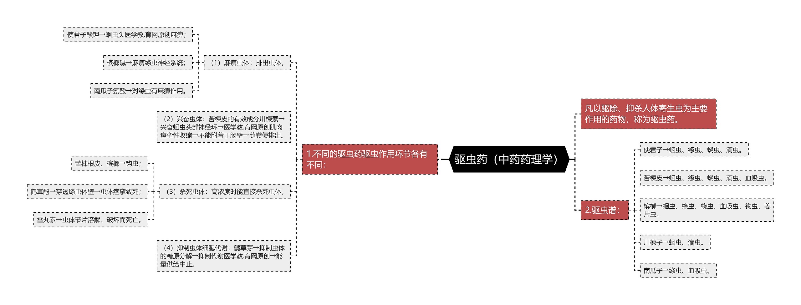 驱虫药（中药药理学）