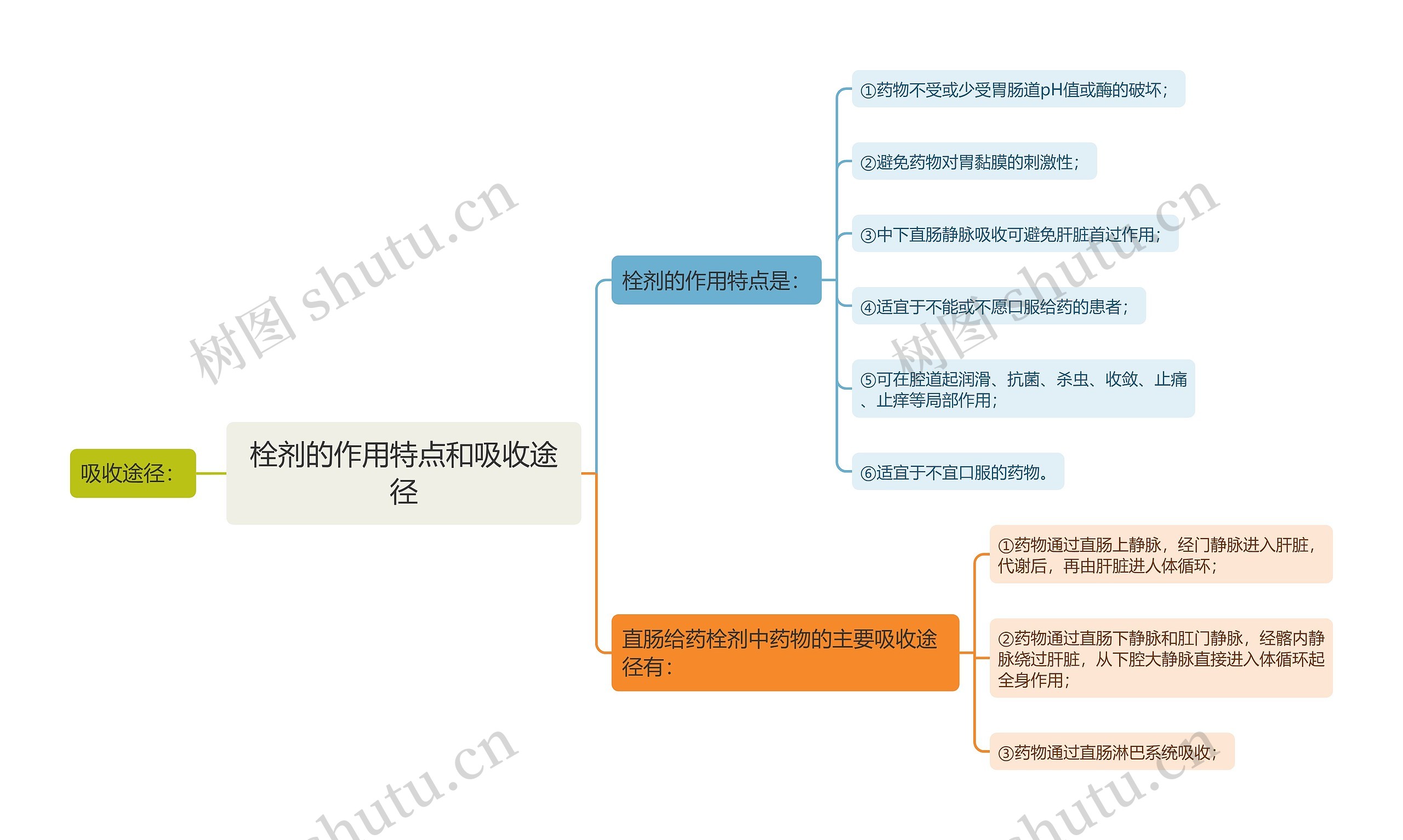 栓剂的作用特点和吸收途径