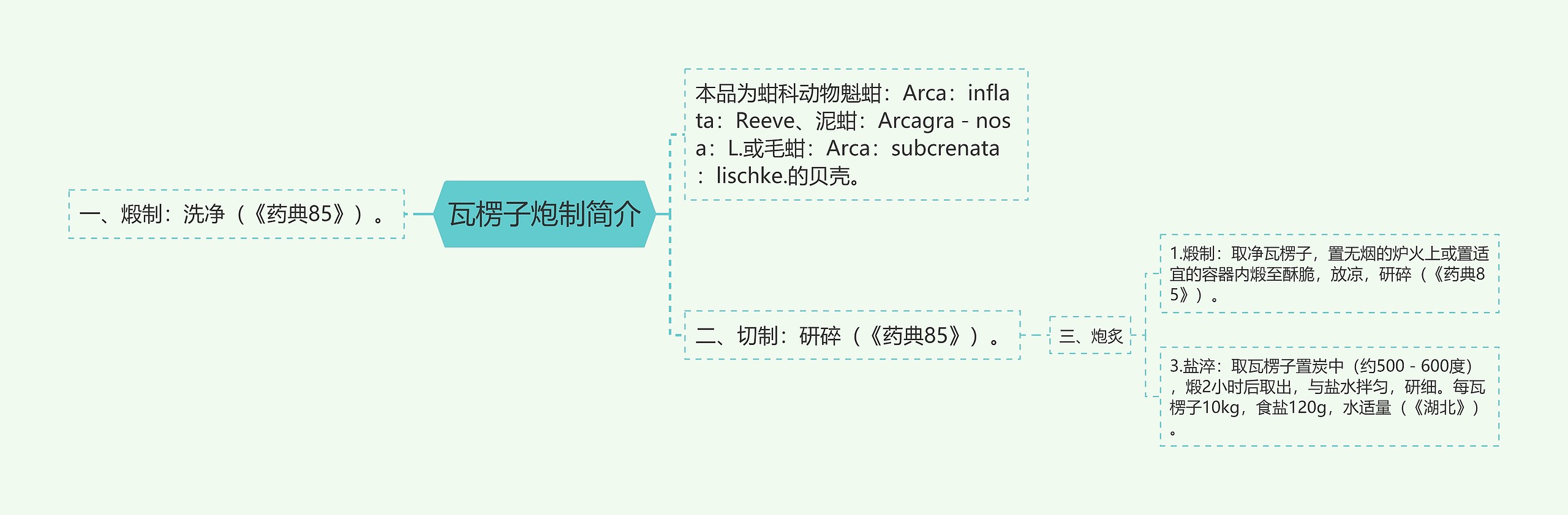 瓦楞子炮制简介思维导图