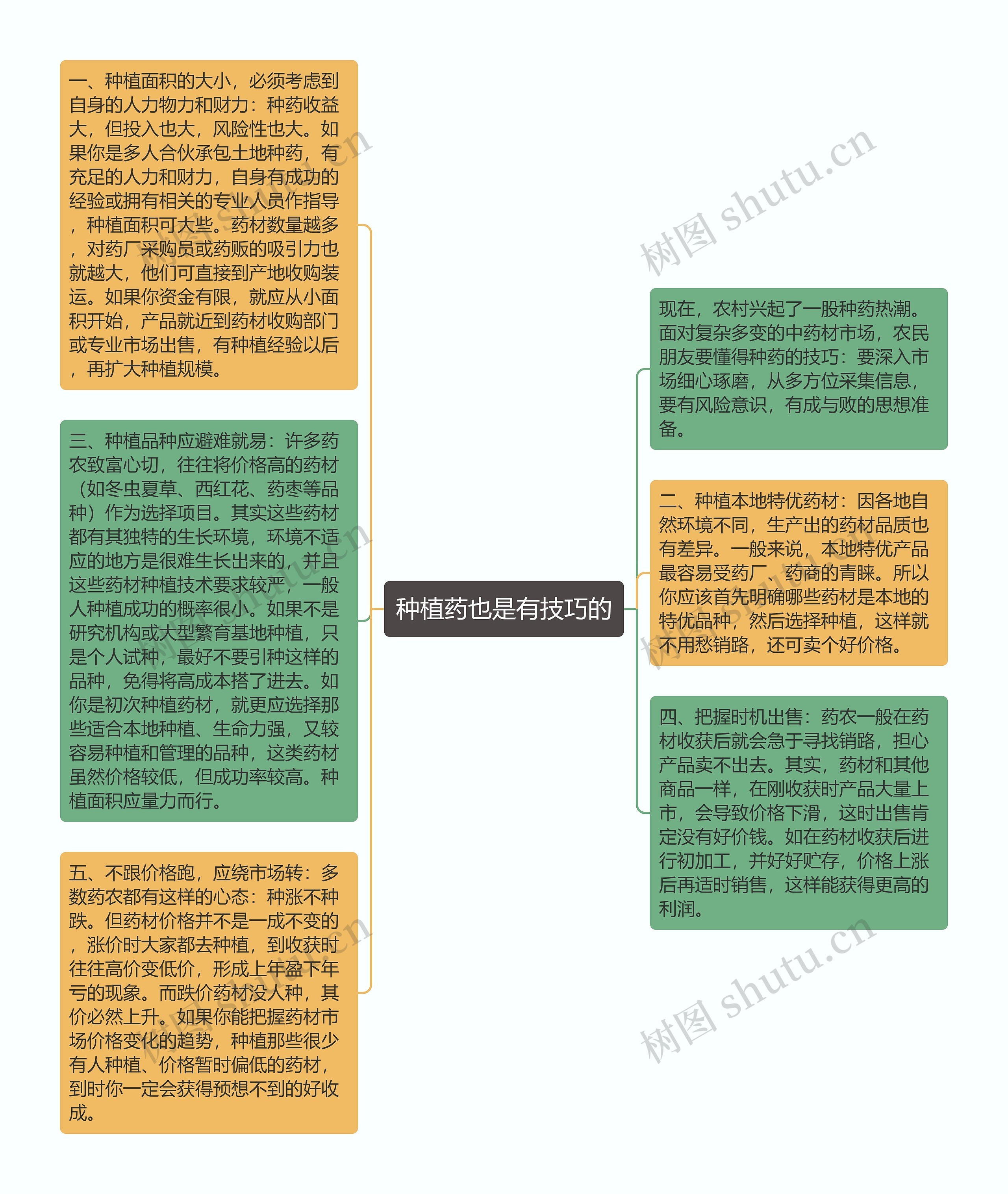 种植药也是有技巧的