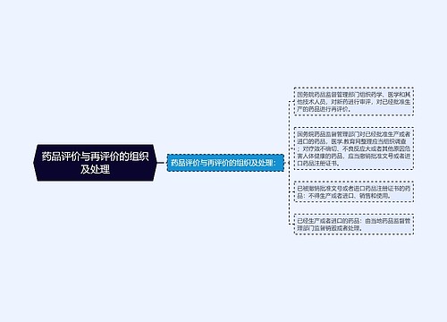 药品评价与再评价的组织及处理