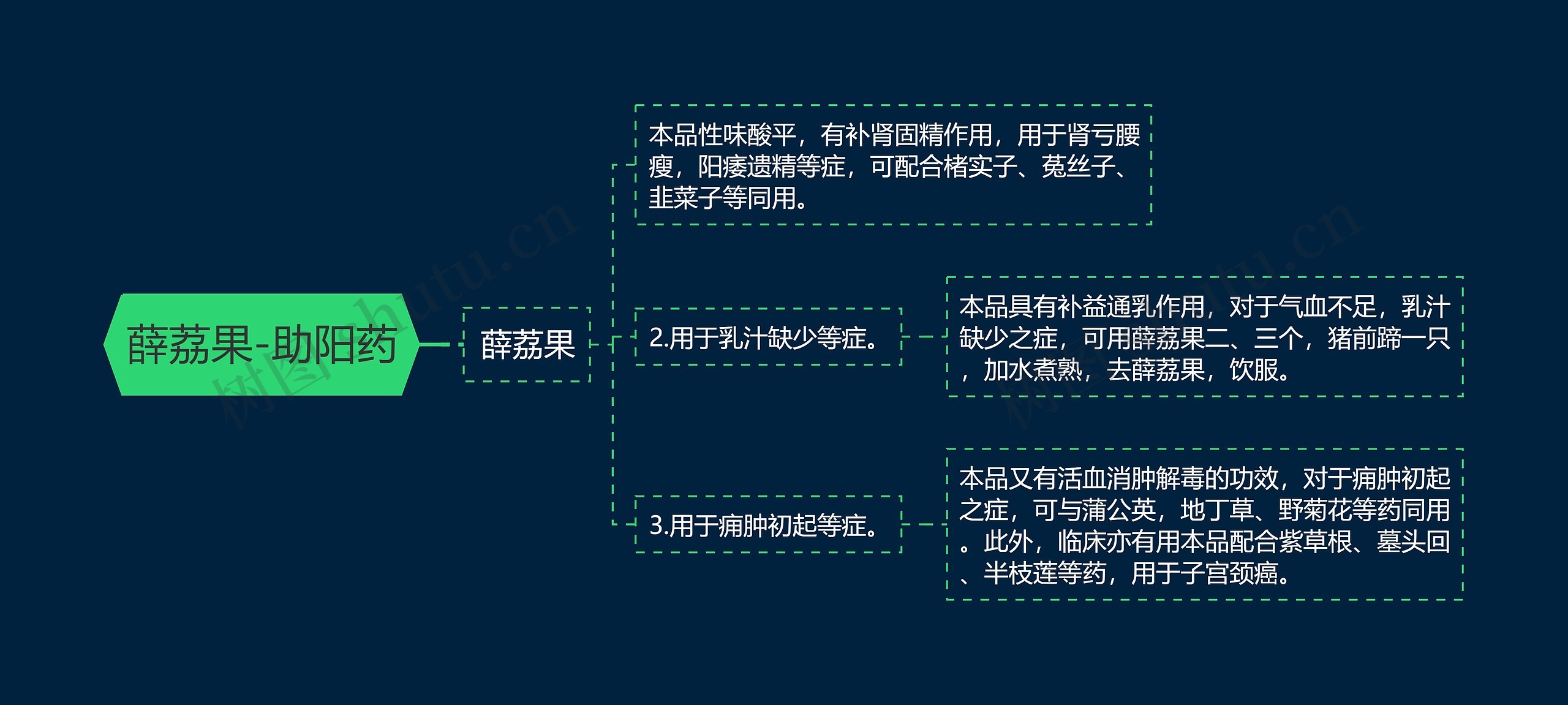 薛荔果-助阳药思维导图