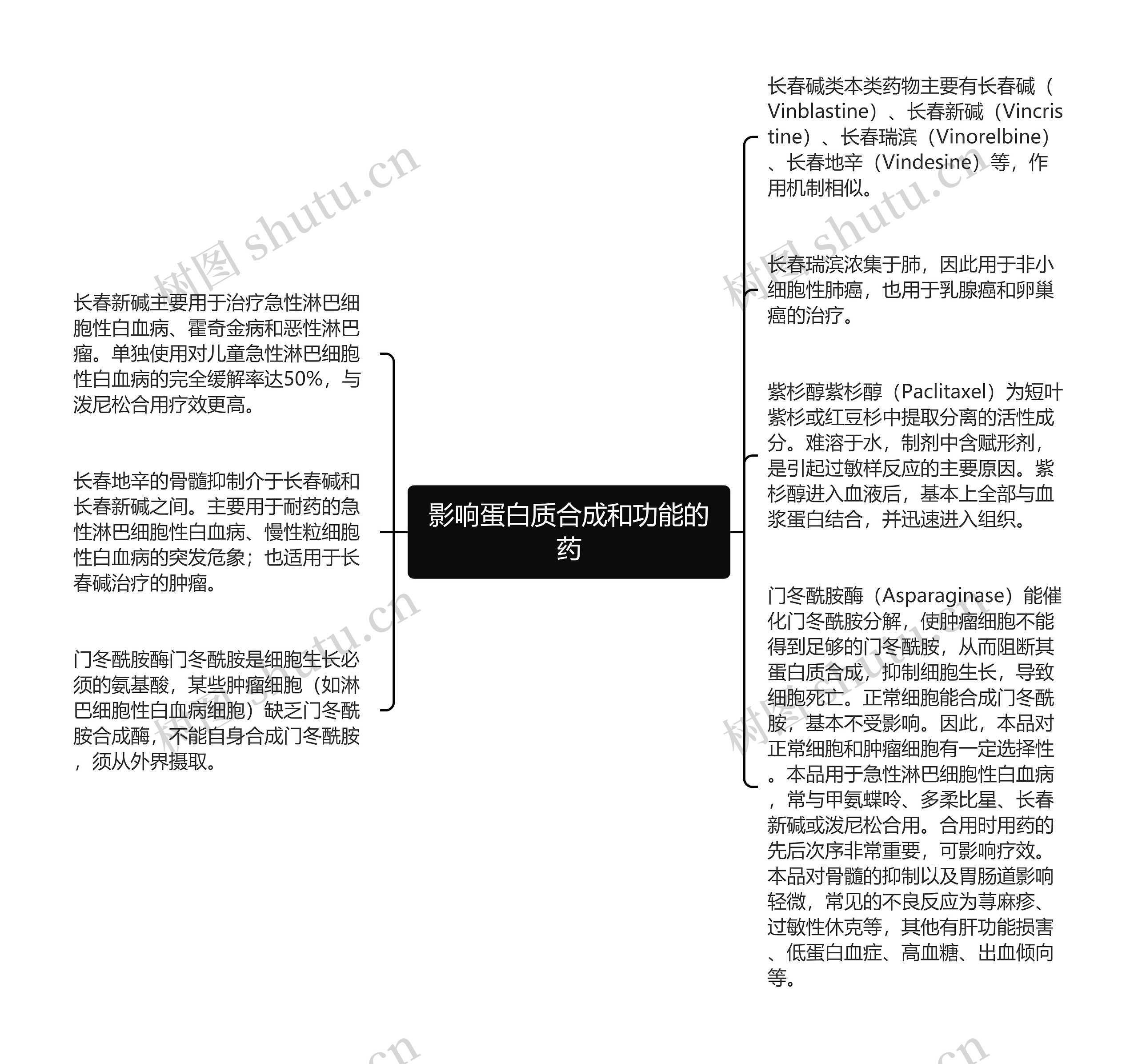 影响蛋白质合成和功能的药思维导图