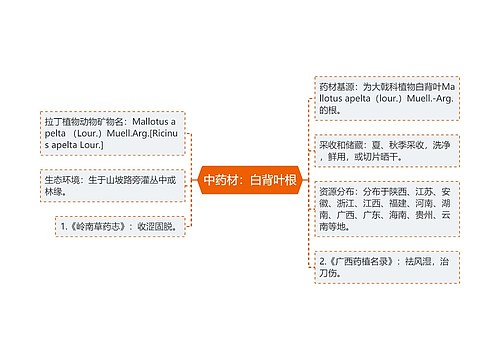 中药材：白背叶根