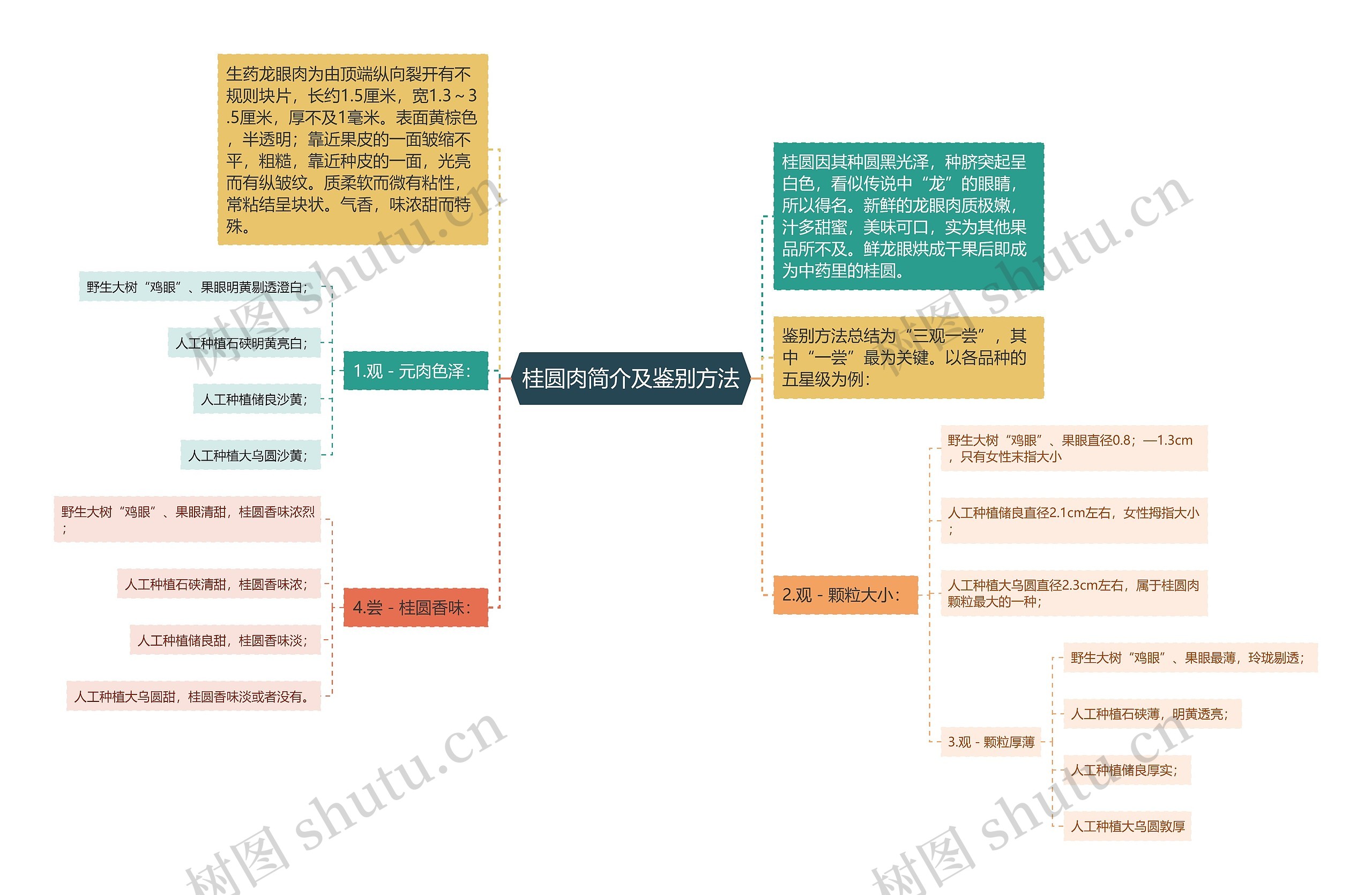 桂圆肉简介及鉴别方法思维导图