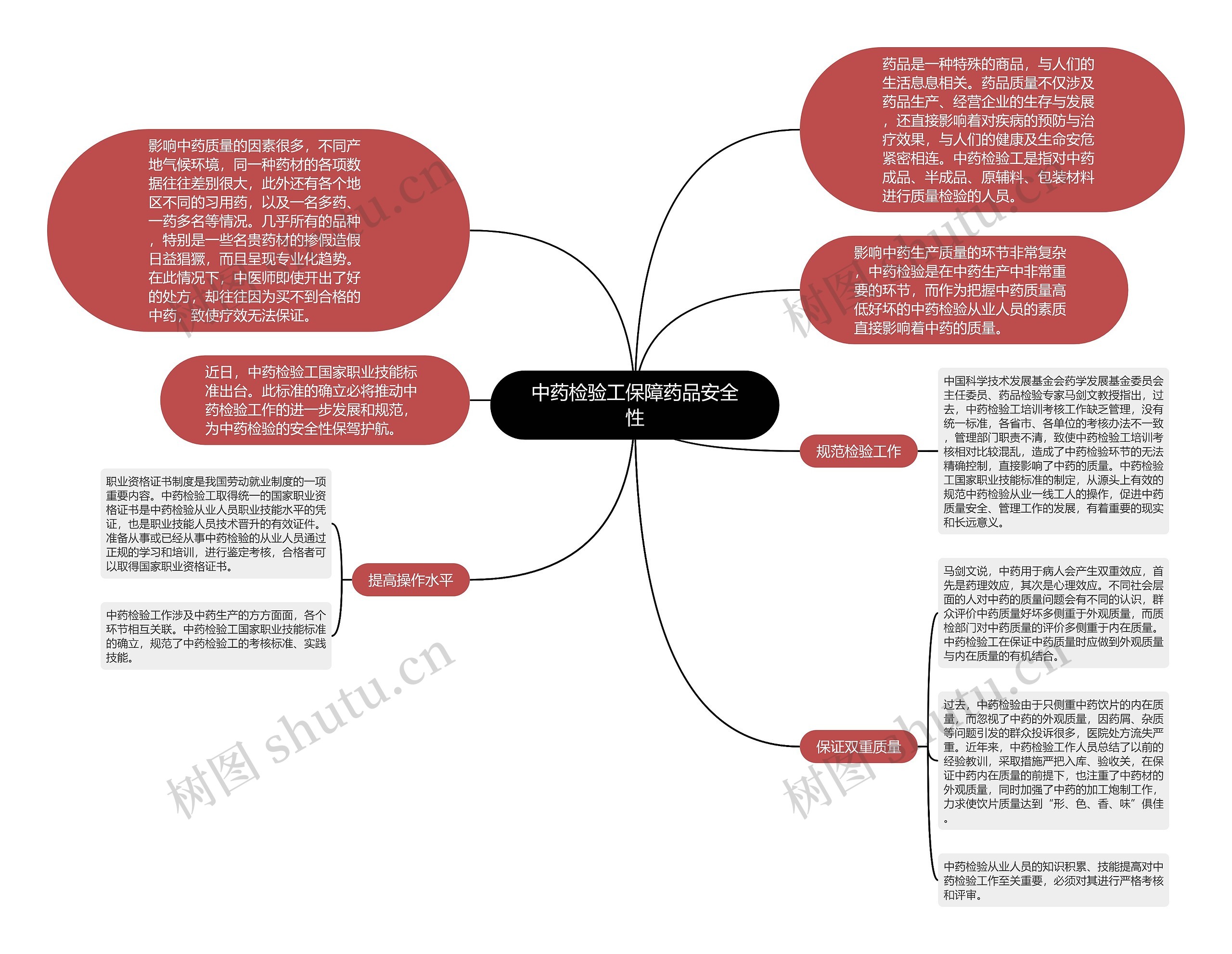 中药检验工保障药品安全性思维导图