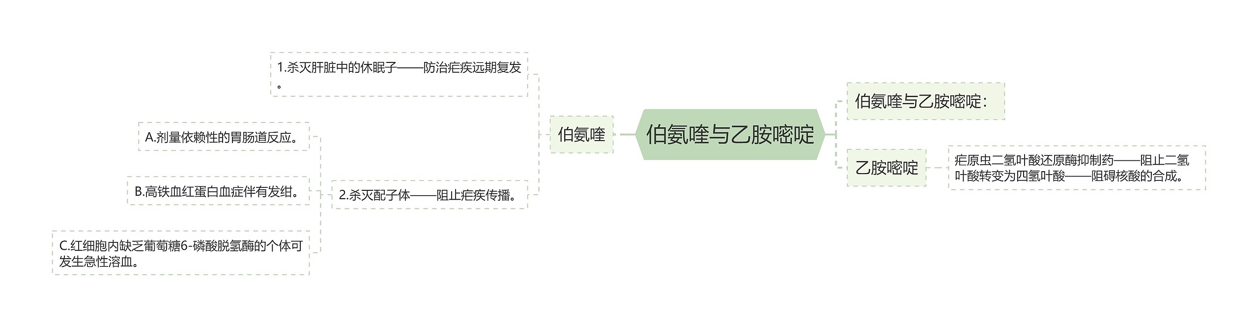 伯氨喹与乙胺嘧啶思维导图