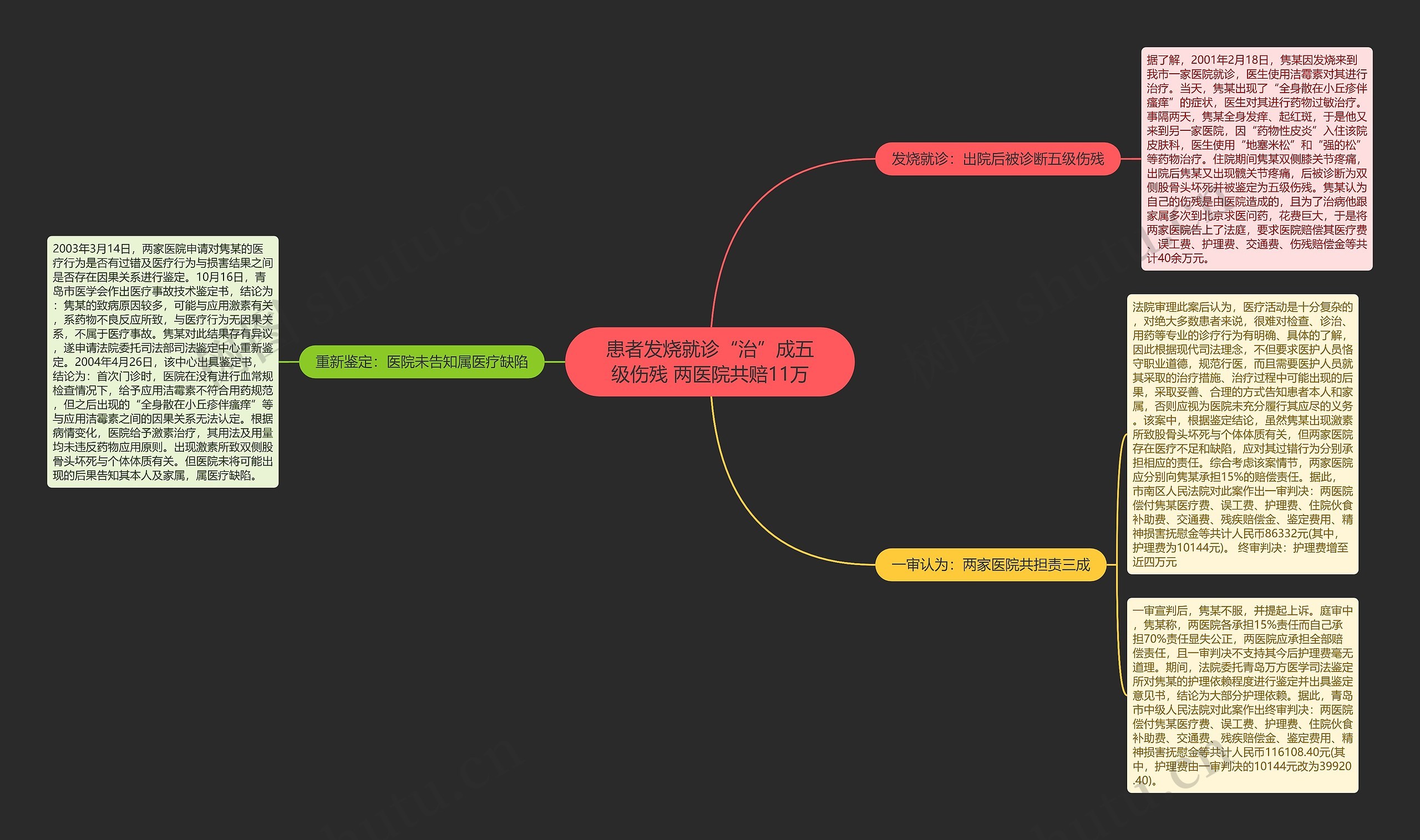 患者发烧就诊“治”成五级伤残 两医院共赔11万思维导图