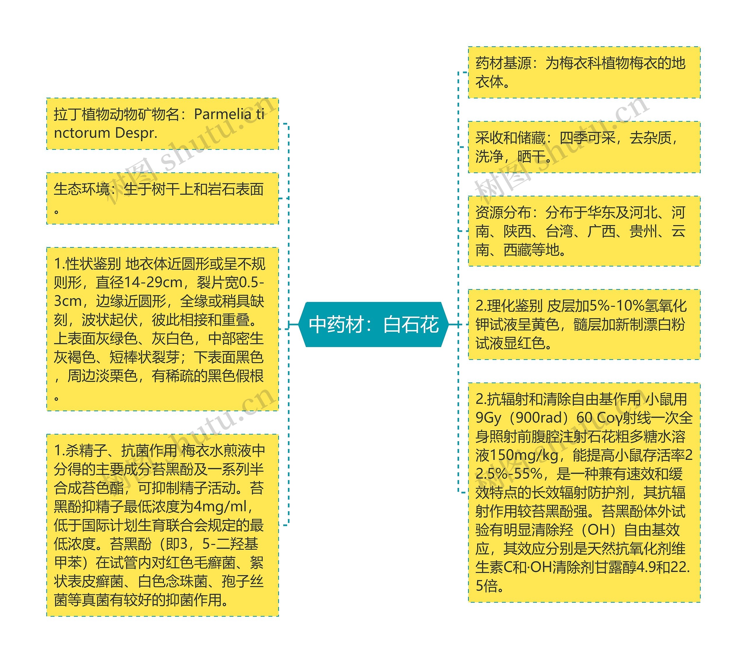 中药材：白石花思维导图