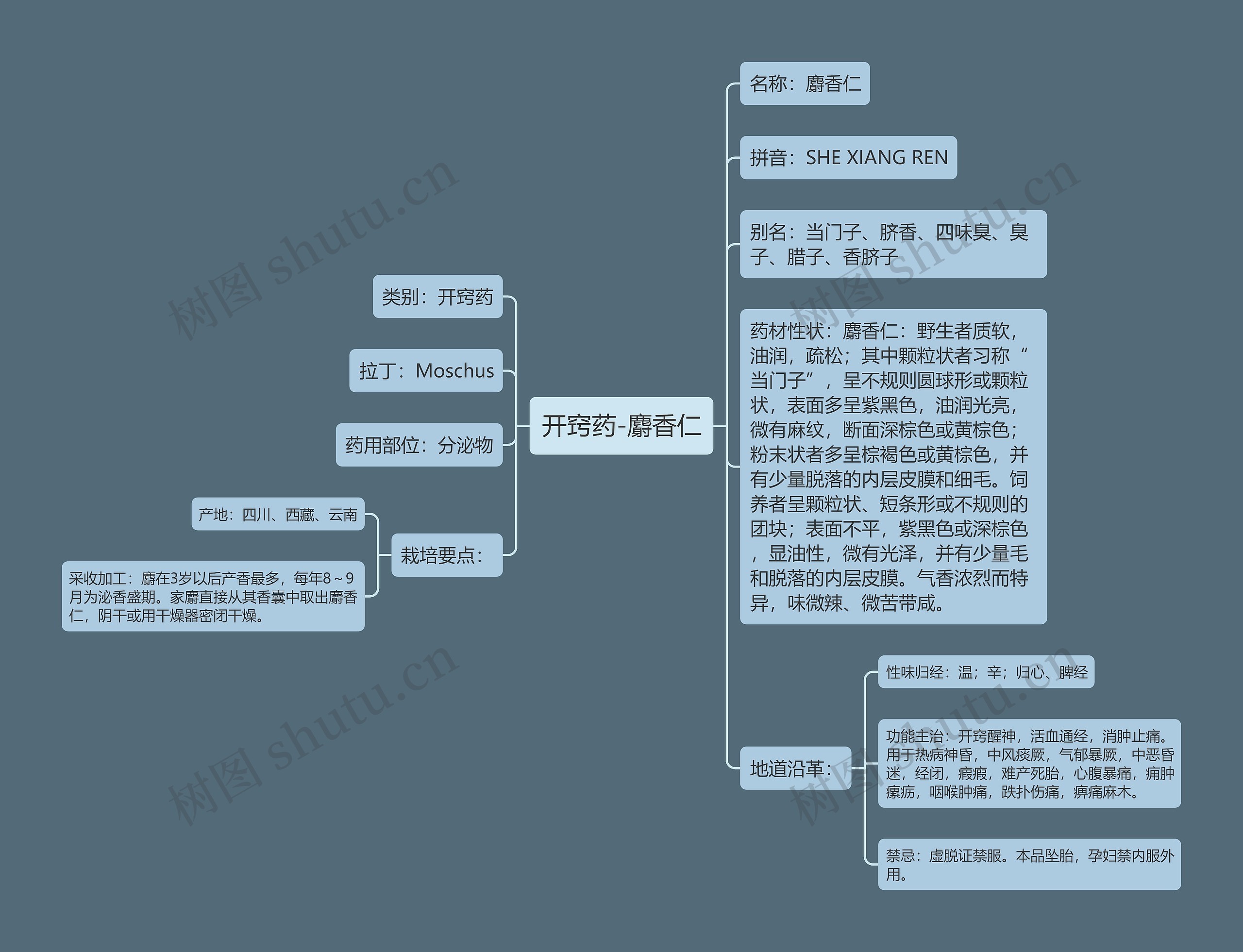 开窍药-麝香仁思维导图