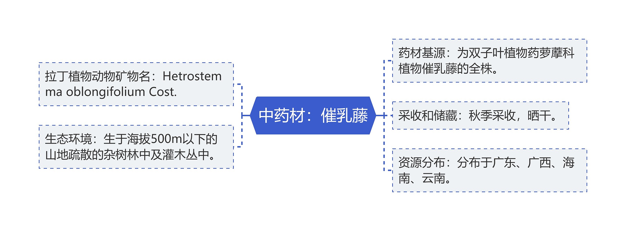 中药材：催乳藤思维导图