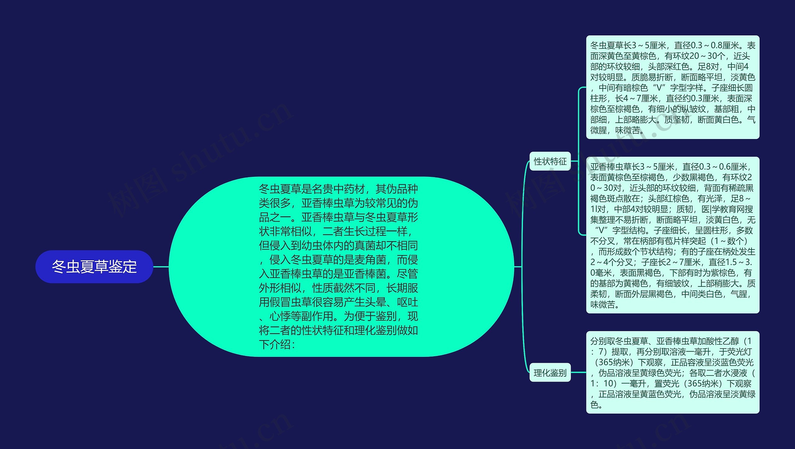 冬虫夏草鉴定 冬虫夏草鉴定