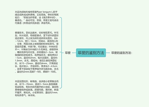 荜茇的鉴别方法