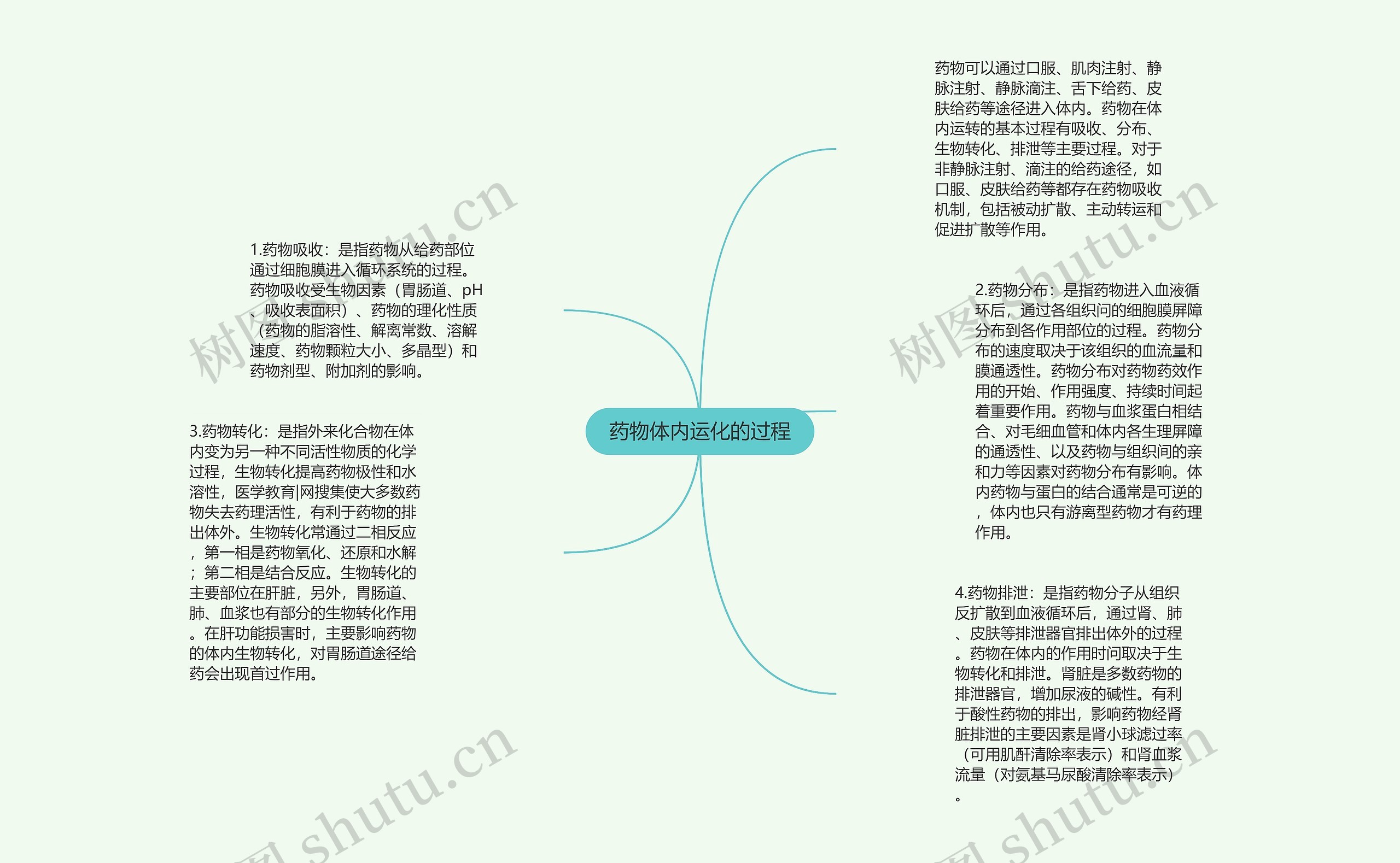 药物体内运化的过程